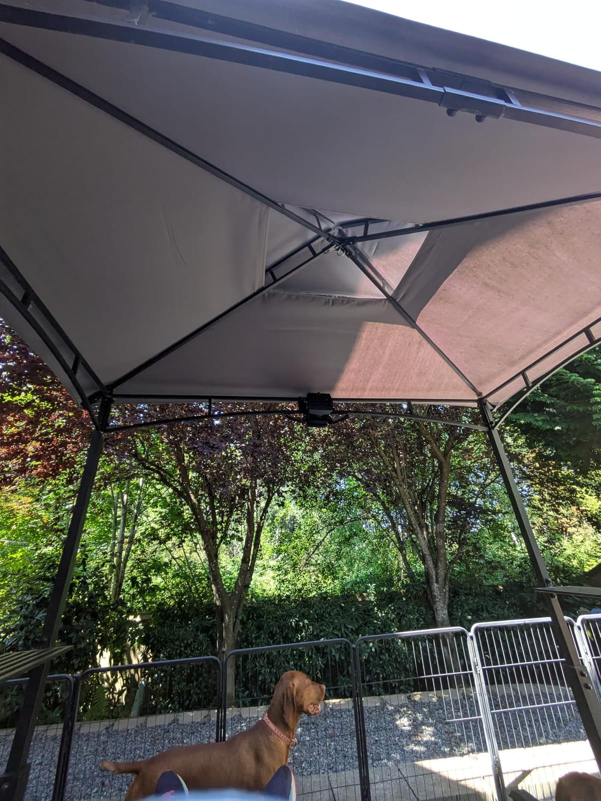 ABCCANOPY 8x5 Grill Gazebo BBQ Shelter with 2 LED Lights, Dark Gray customer photo 2