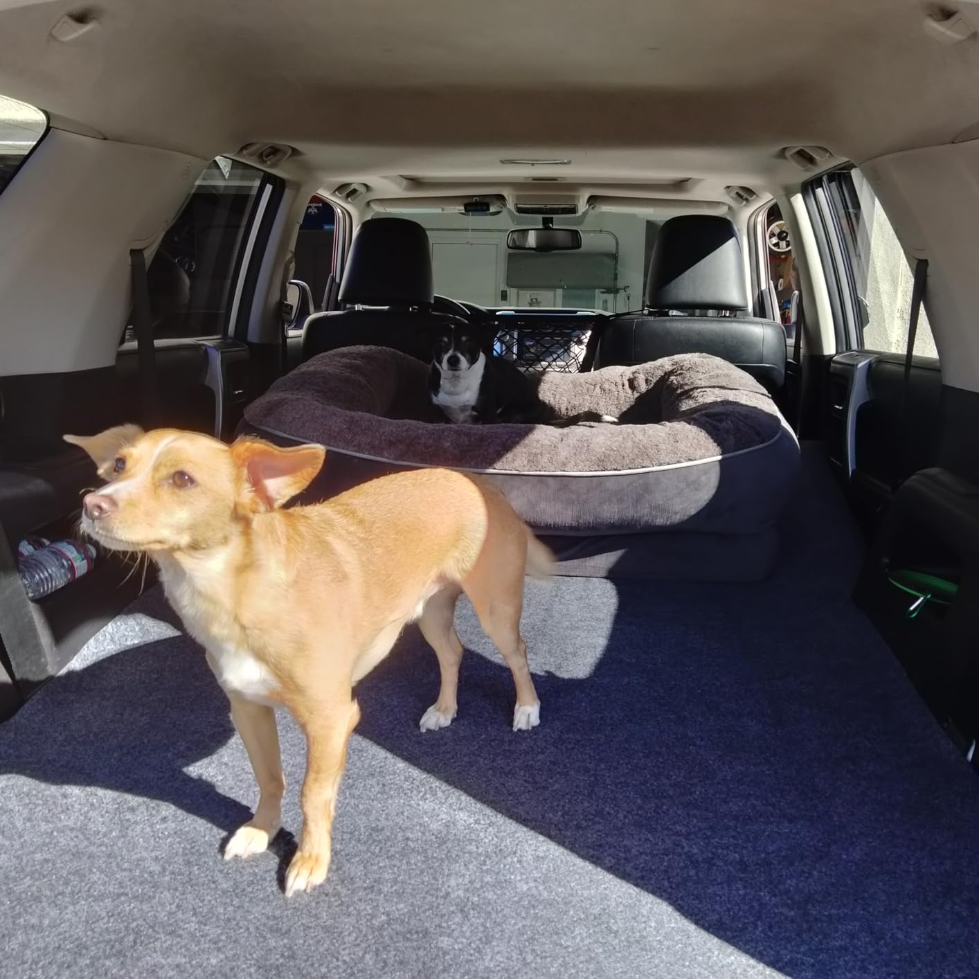 Drymate Cargo Liner Mat (60