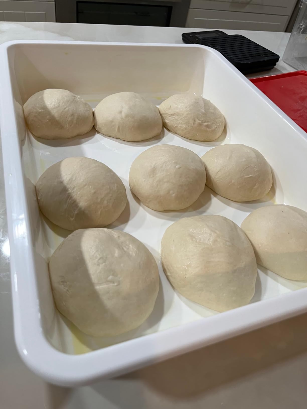 GSM Brands Pizza Dough Proofing Box - Stackable Commercial Quality Trays with Covers (17.25 x 13 Inches) - 2 Trays and 2 Covers customer photo 2