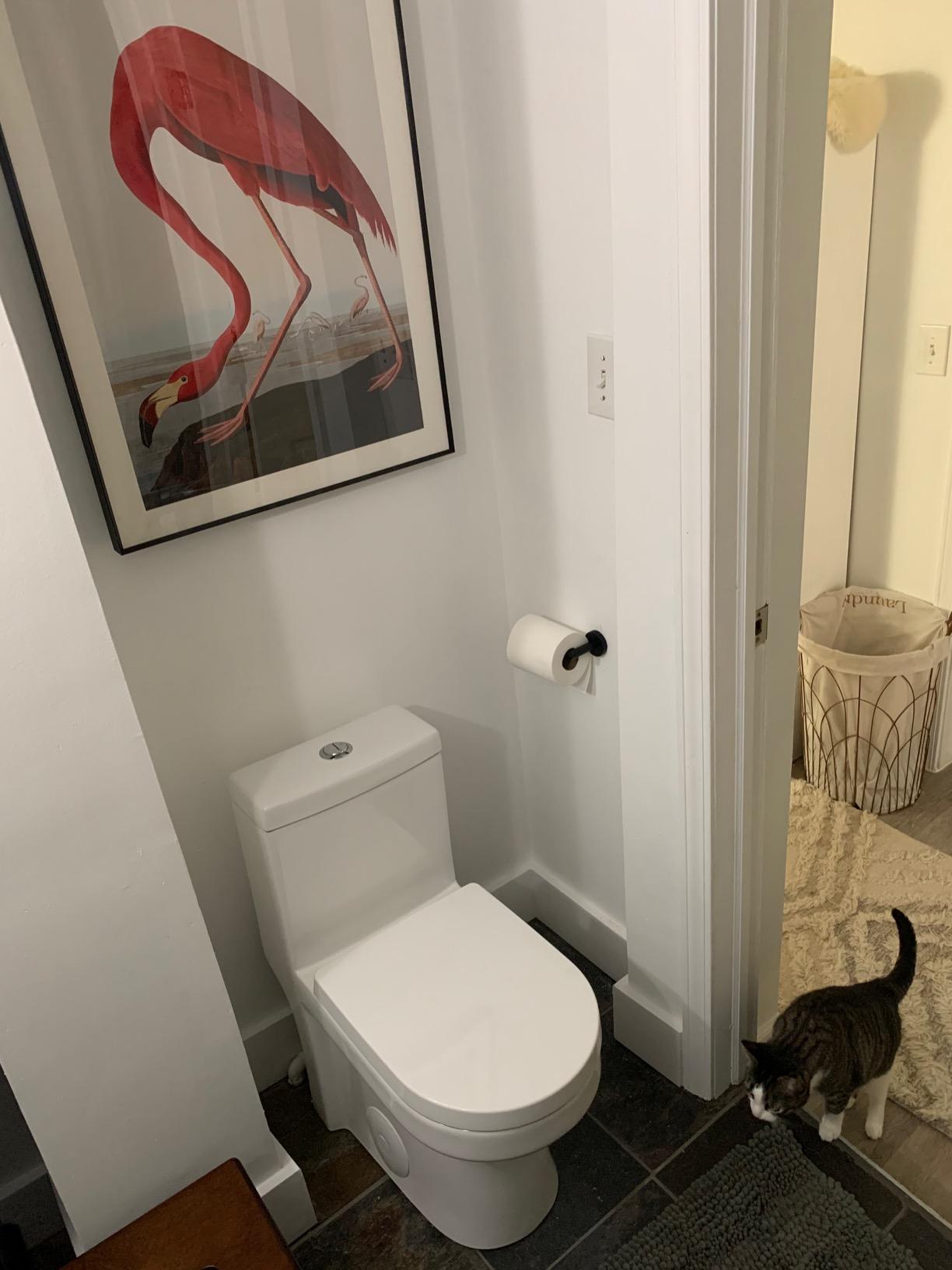 HOROW HT1000 Dual Flush One Piece Toilet, Modern Small Toilet with Soft Closing Seat, Quick Release & 12'' Rough-in, Compact & Round for Small Bathroom, Standard White Finish Toilet Bowl customer photo 1