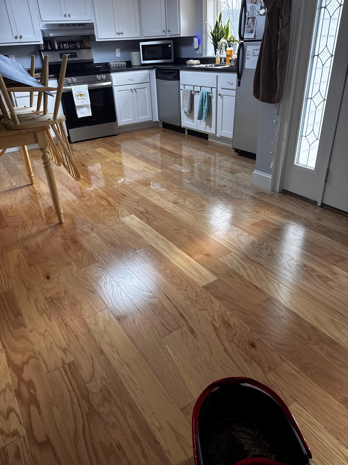 Aunt Fannie's Hardwood Floor Cleaner, Vinegar-Free, Lemon, 32 oz, Pack of 1 | Makes Up to 16 Gallons, No Rinsing, Safe for Sealed Planks Engineered Surfaces & Finished Flooring, Kid and Pet Safe customer photo 2