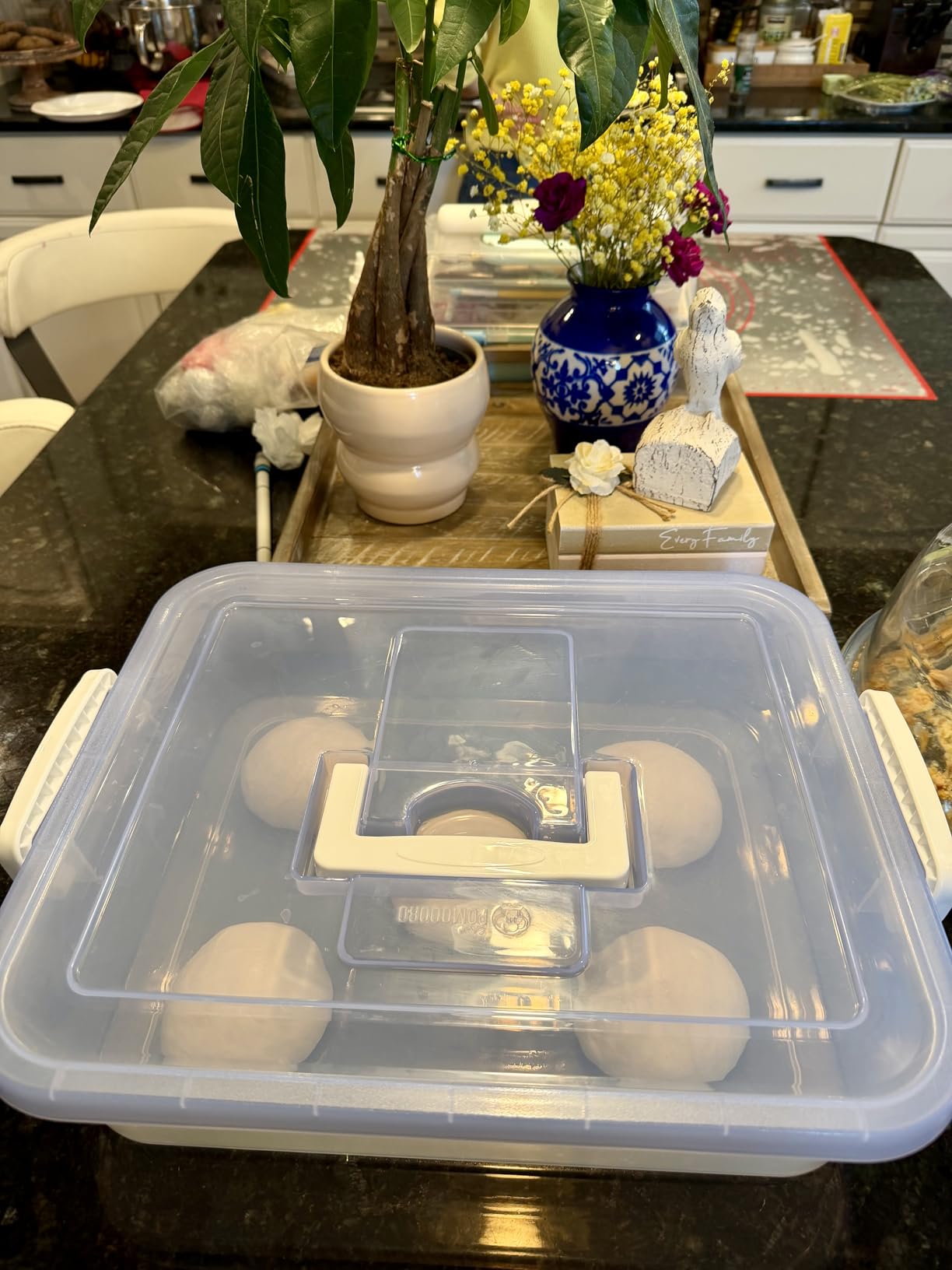 Chef Pomodoro Pizza Dough Proofing Box with Lid, 14x11 In, Blue | ABS plastic pizza dough proofing container, fits 4-6 dough balls, stackable, transparent lid, carry handle customer photo 2
