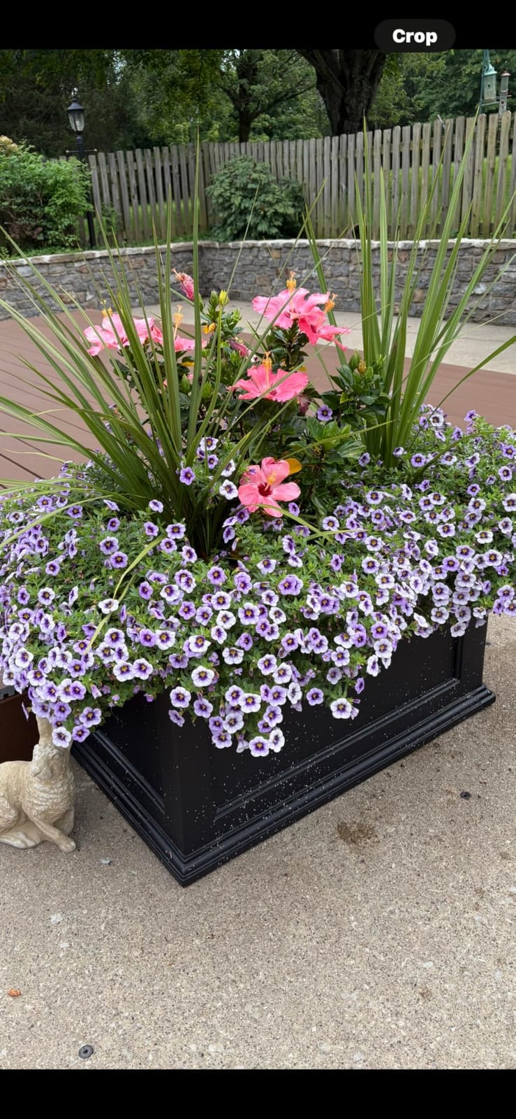 Mayne Fairfield 36in Self-Watering Rectangular Planter, Graphite Grey | Self-watering, All season, Fade resistant, Double-wall design, 15-year warranty customer photo 2