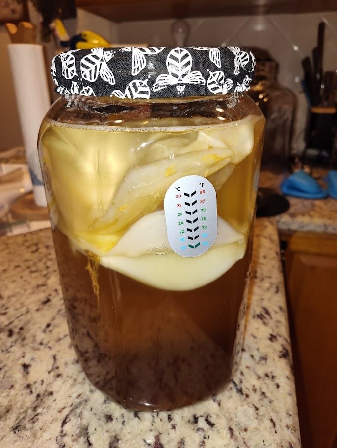 Craft A Brew - Kombucha Deluxe Starter Kit - For Home Brewing - Includes Kombucha Kit and SCOBY, plus 8 16oz Reusable Kombucha Bottles, Stainless Funnel and Strainer, and PH test Strips customer photo 2