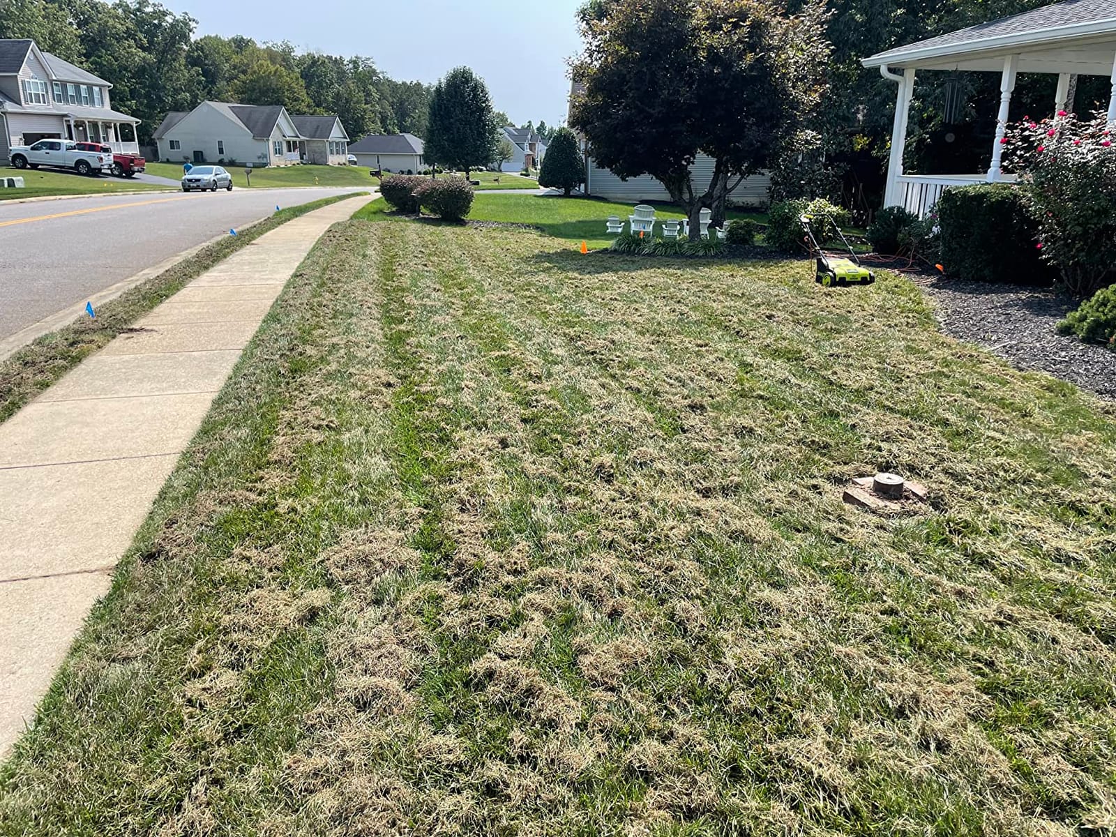 Sun Joe AJ798E Corded Electric Lawn Dethatcher and Scarifier, 12-Amp, 12.6-Inch customer photo 1