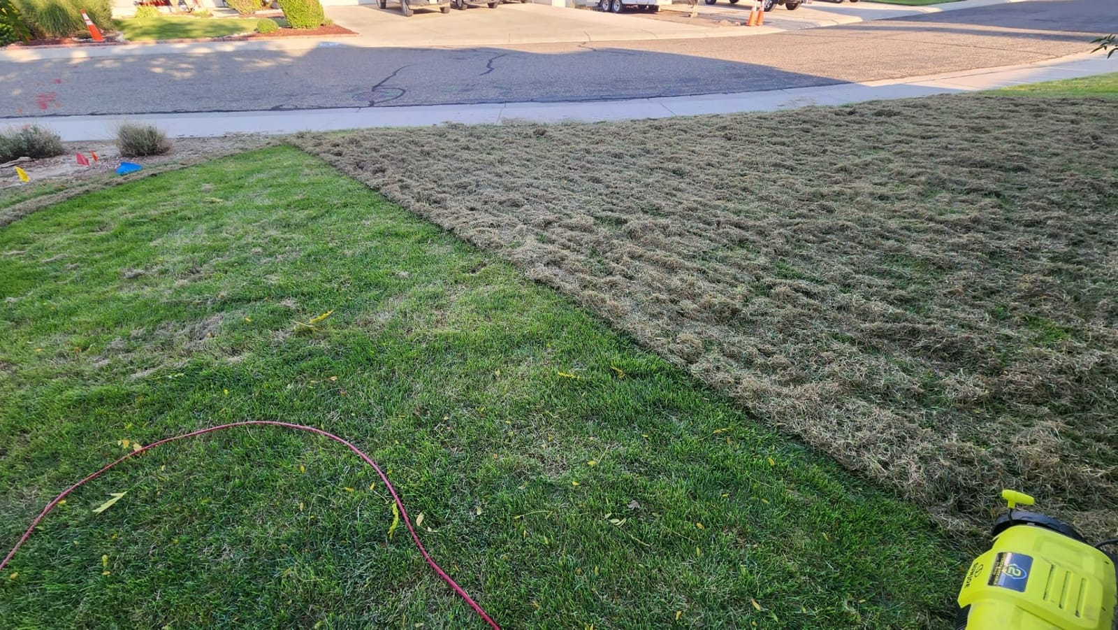 Sun Joe AJ798E Corded Electric Lawn Dethatcher and Scarifier, 12-Amp, 12.6-Inch customer photo 2
