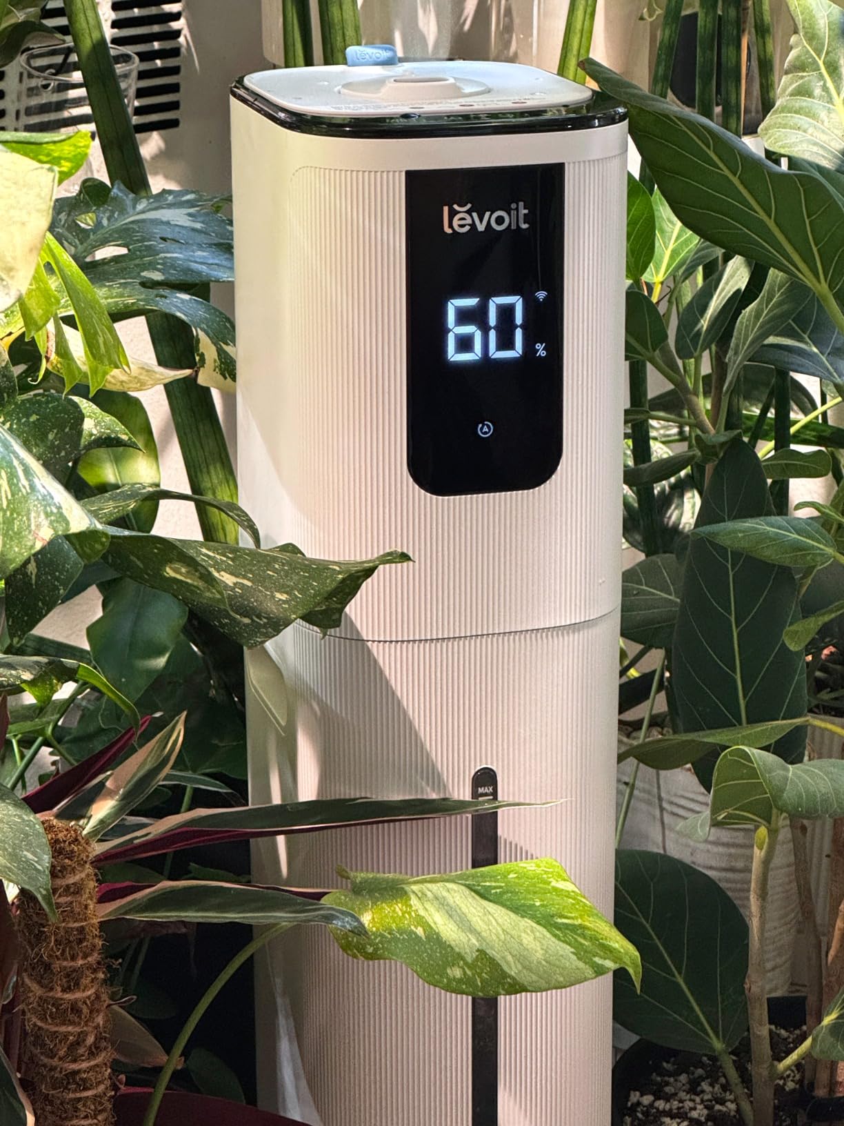 Levoit LV600S Smart Warm&Cool Mist Humidifiers for Home Bedroom Large Room | 6L 753ft Coverage, Quickly & Evenly Humidify Whole House, Easy Top Fill, Smart Sensor, App & Voice Control, Quiet Sleep Mode customer photo 1