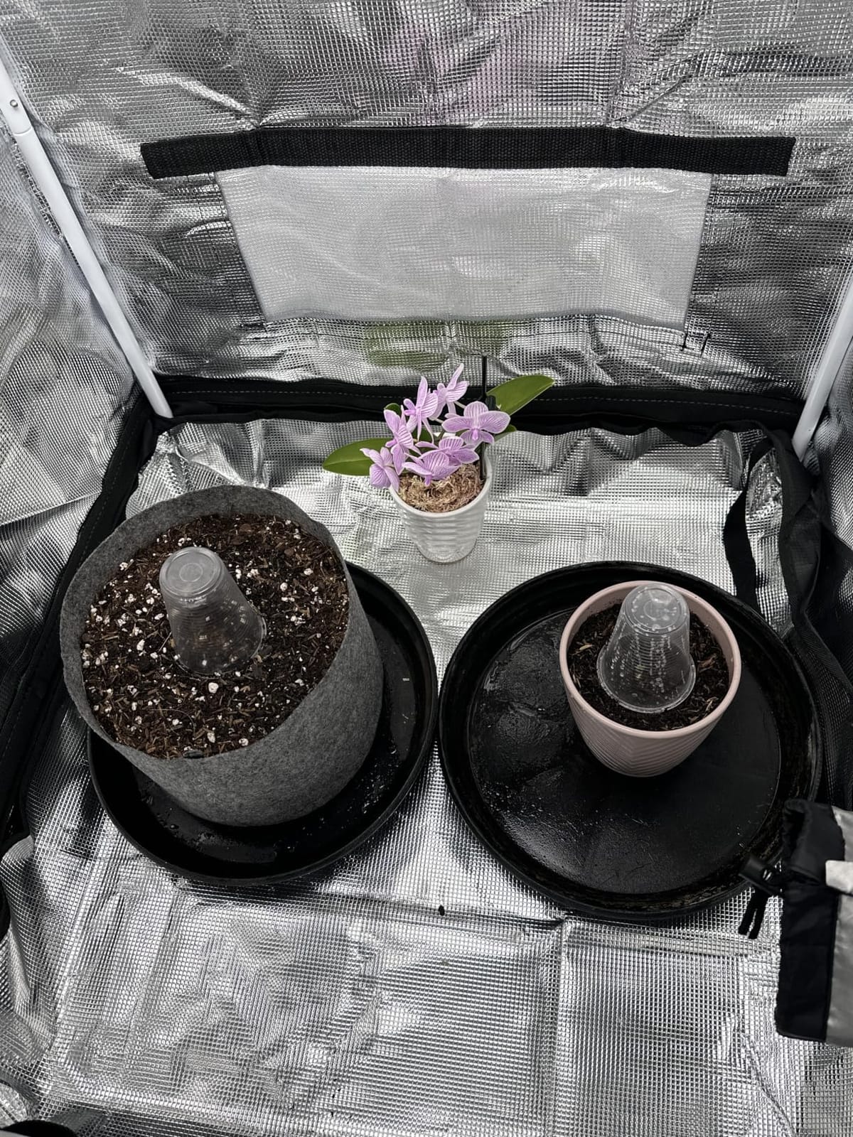 2x2 Grow Tent, 24
