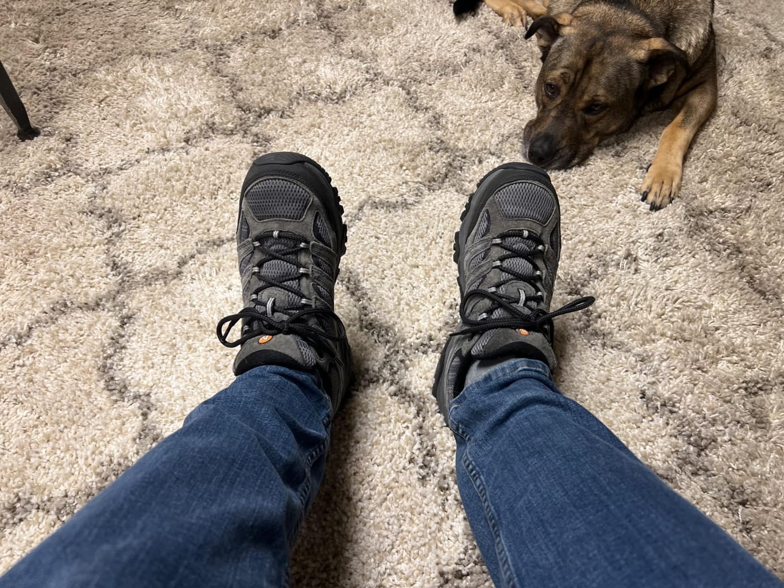 Merrell Men's Moab 3 Waterproof Boots customer photo 1