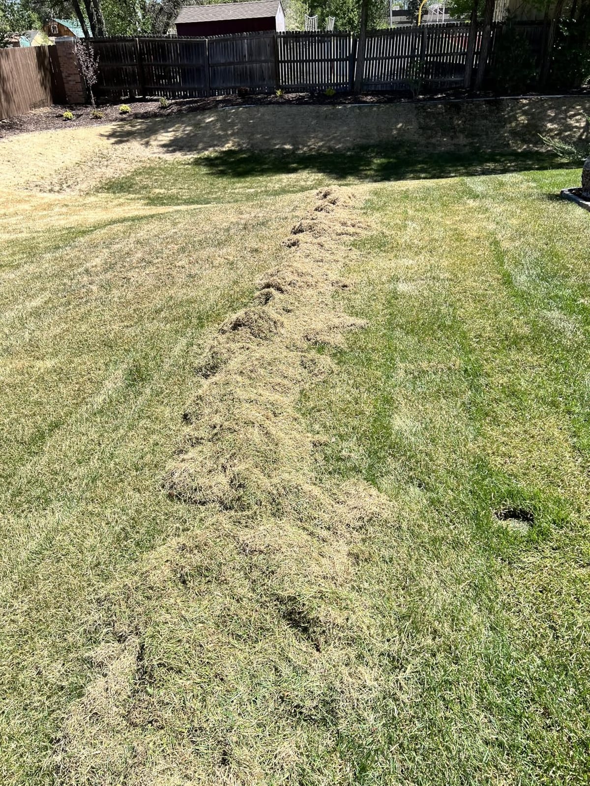Greenworks 13 Amp 14-Inch Corded Dethatcher / Scarifier, 2-in-1 Electric Lawn Rake customer photo 2