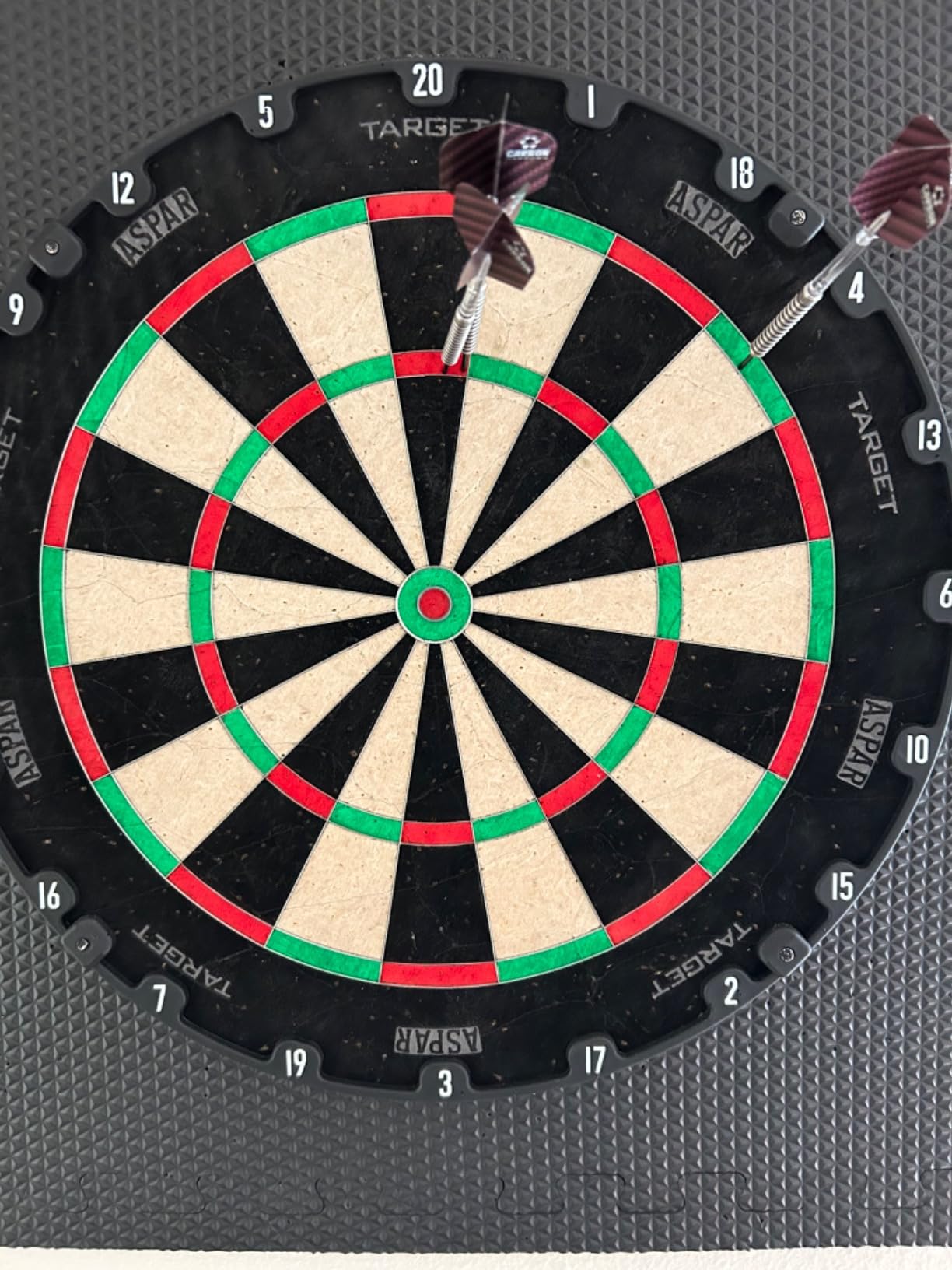 Target Darts Aspar Dart Board | Steel Tip Dartboard with Self Recovering Sisal Bristles & Rotational Score Ring | Thin Wire Regulation Competition Size customer photo 1