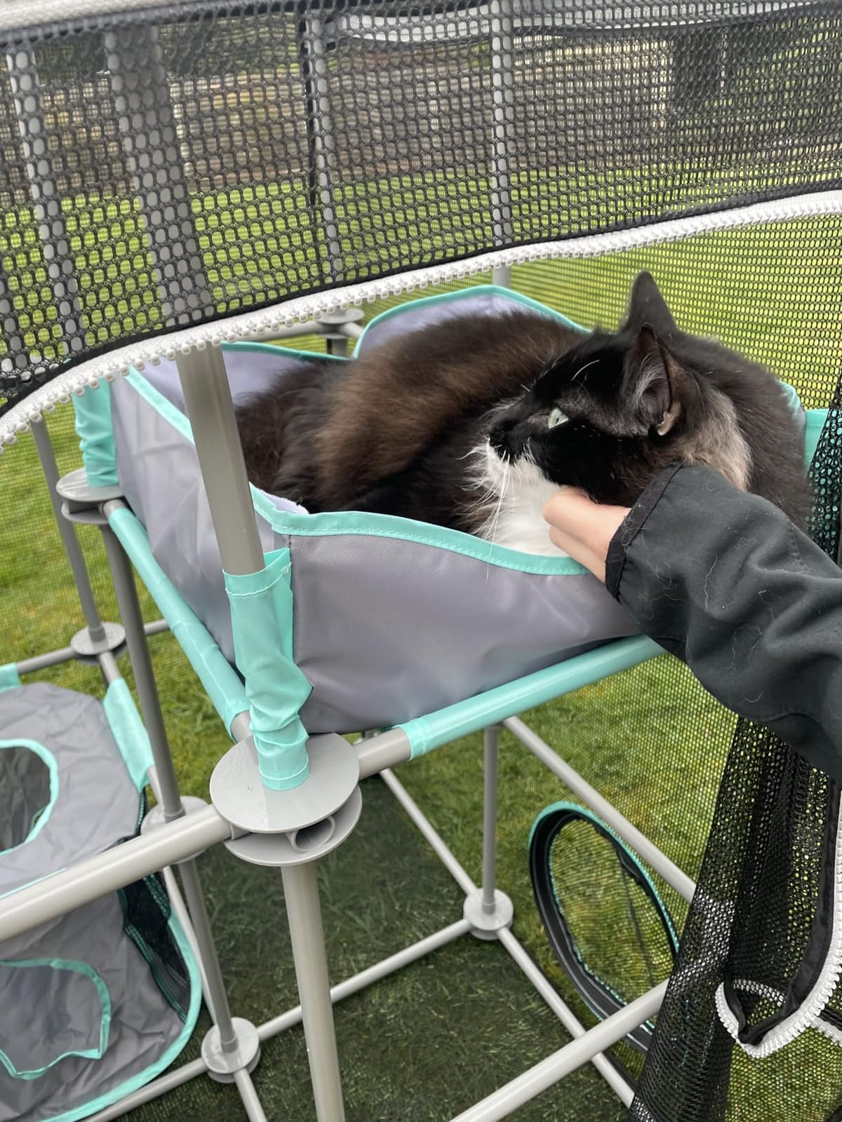 Kitty City Outdoor Catio Furniture and Play Kits for Cats, Outdoor Mega Kit customer photo 1