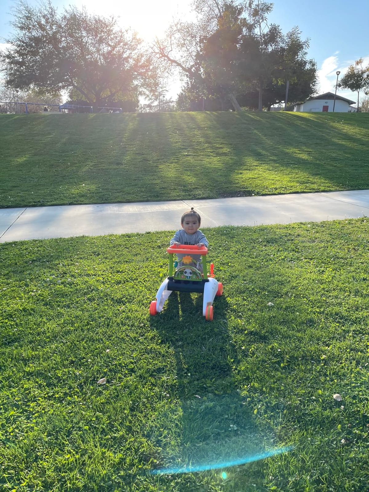 Fisher-Price 2-Sided Steady Speed Panda Walker Musical Push Toy | Smart Stages Learning Content, 10+ Activities, 3 Shape Blocks, Baby & Toddler Ages 6+ Months (Amazon Exclusive) customer photo 1