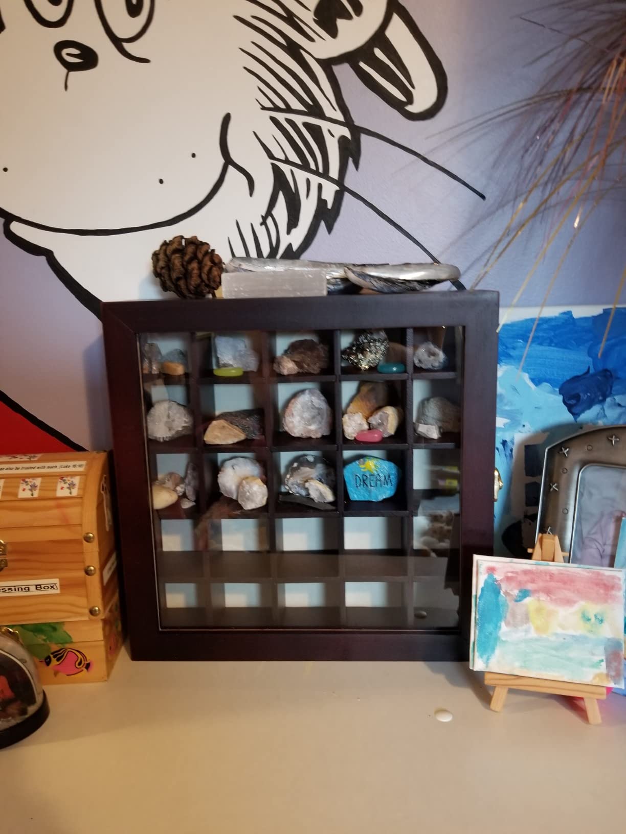 Adjustable Rock Display Case - Rock Collection Box with Fabric Bed for Mineral Display - Dark-Finish Shadow Box with Shelves for Crystal Storage customer photo 1