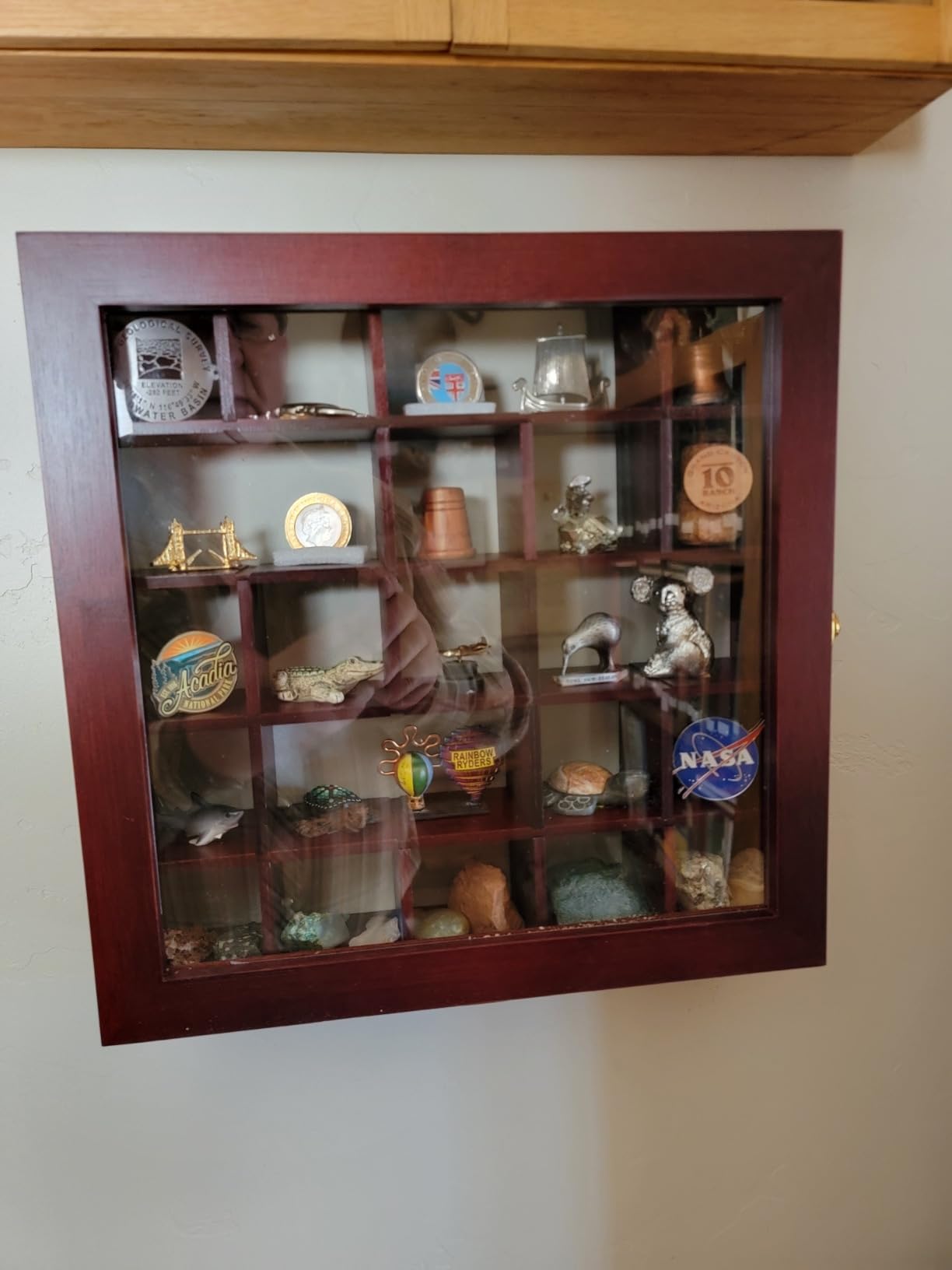 Adjustable Rock Display Case - Rock Collection Box with Fabric Bed for Mineral Display - Dark-Finish Shadow Box with Shelves for Crystal Storage customer photo 2