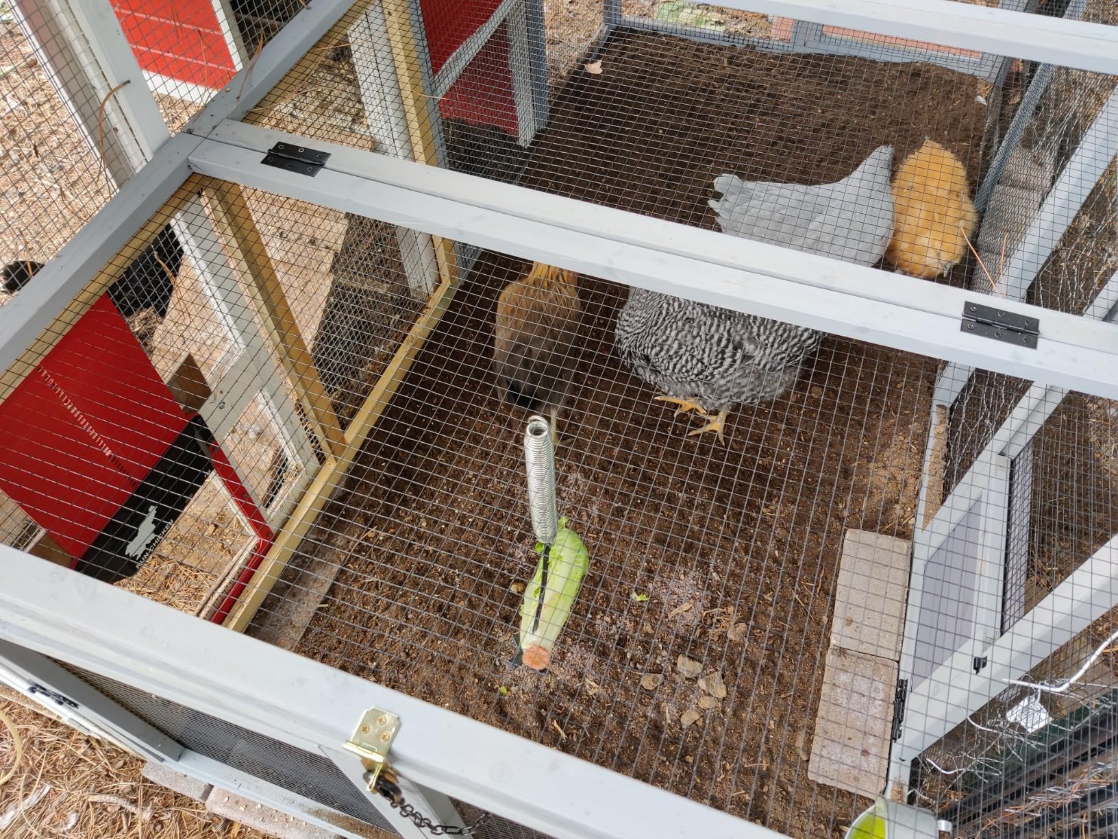 GUTINNEEN Chicken Coop 103