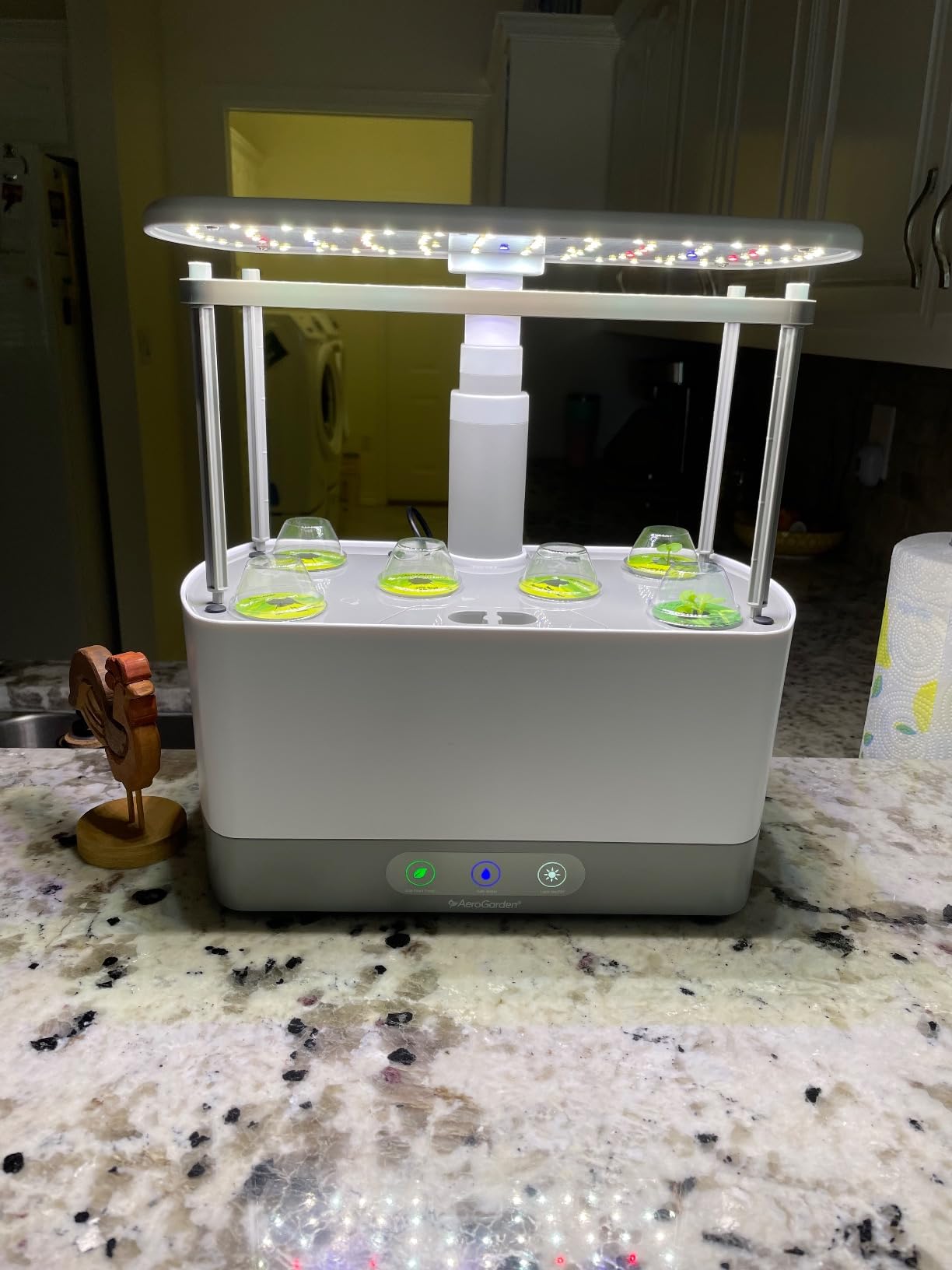 AeroGarden Harvest XL Indoor Garden Hydroponic System, White | Includes LED Grow Light with Seed Pod Kit, Holds up to 6 Pods customer photo 1