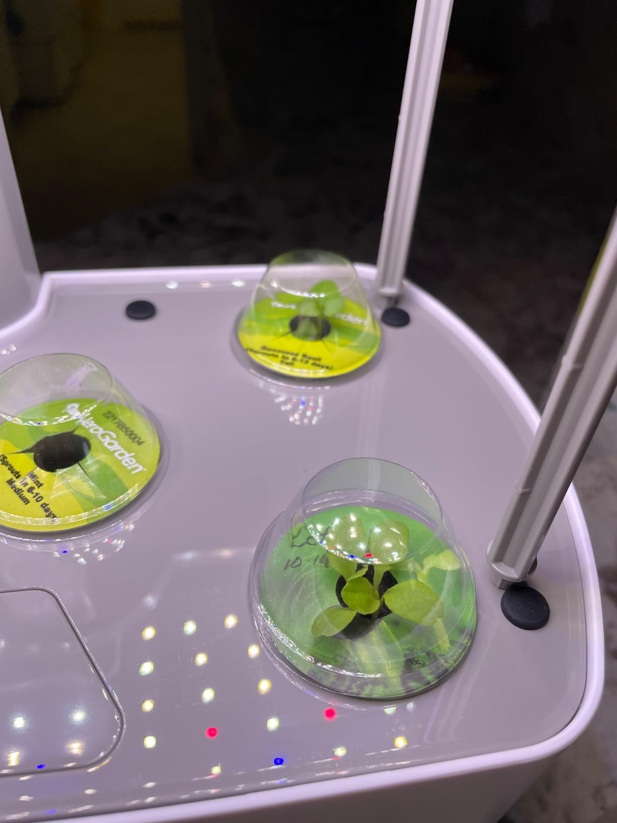 AeroGarden Harvest XL Indoor Garden Hydroponic System, White | Includes LED Grow Light with Seed Pod Kit, Holds up to 6 Pods customer photo 2