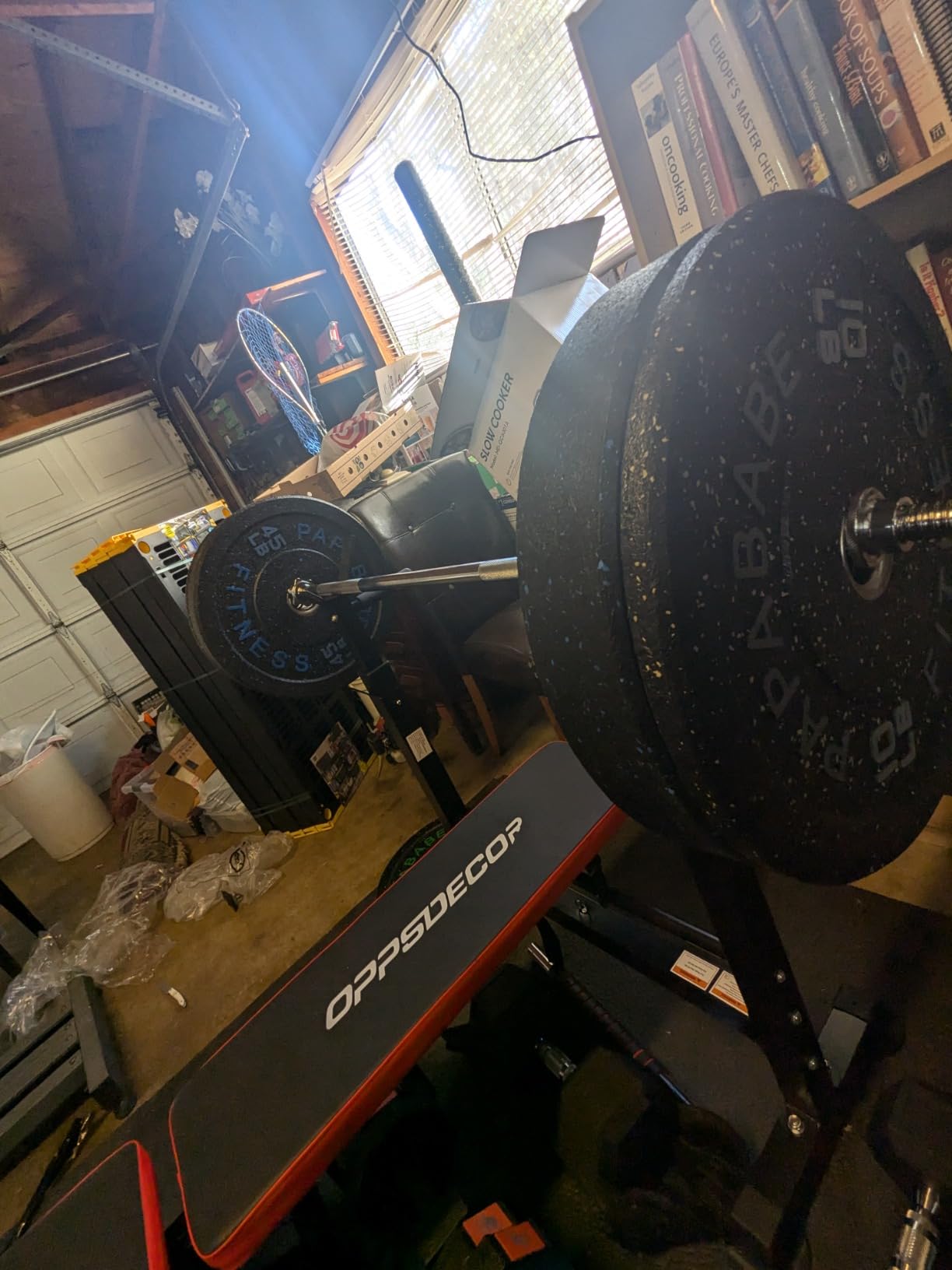 Papababe 20-650lbs Bumper Plates 2