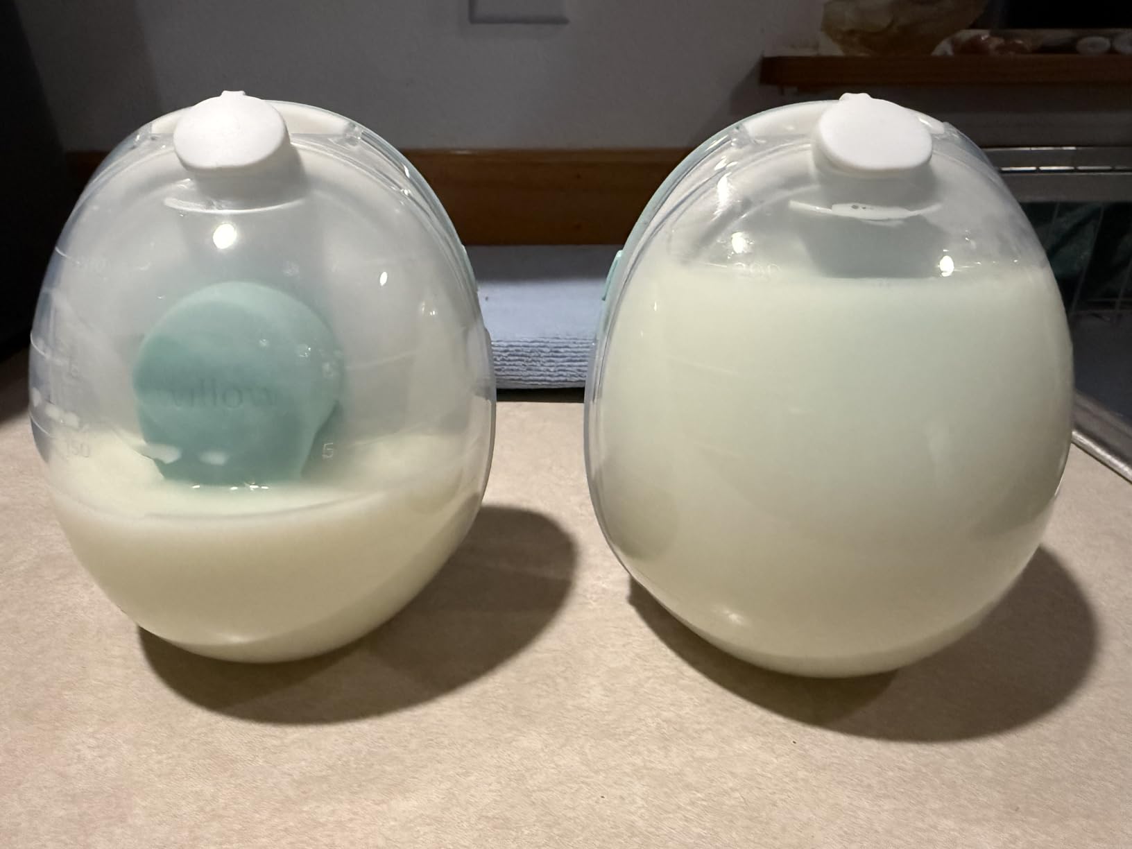 Willow Go Wearable Breast Pump, Hands Free Double Electric Breast Pump, Wireless In-Bra Design customer photo 2