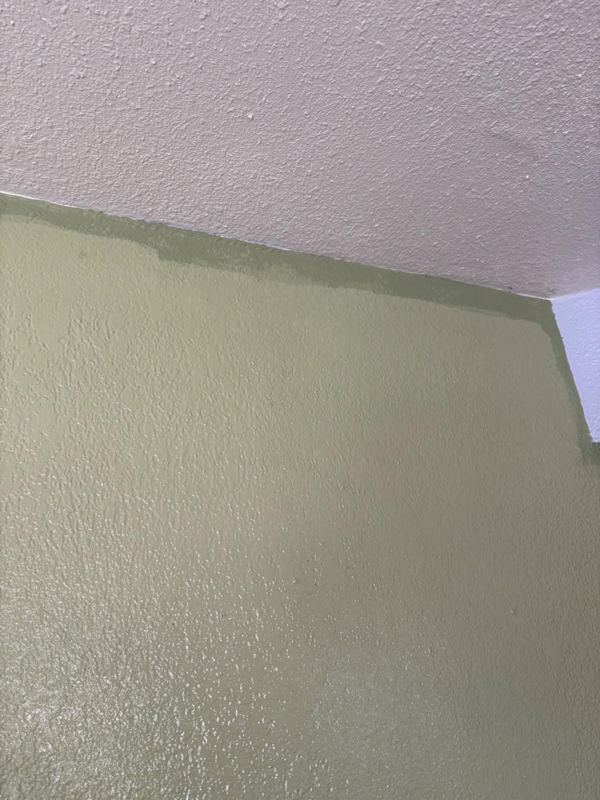 Glidden Total Interior Wall Paint & Primer All-in-One, Light Sage/Green, Eggshell, 1 Gallon customer photo 1
