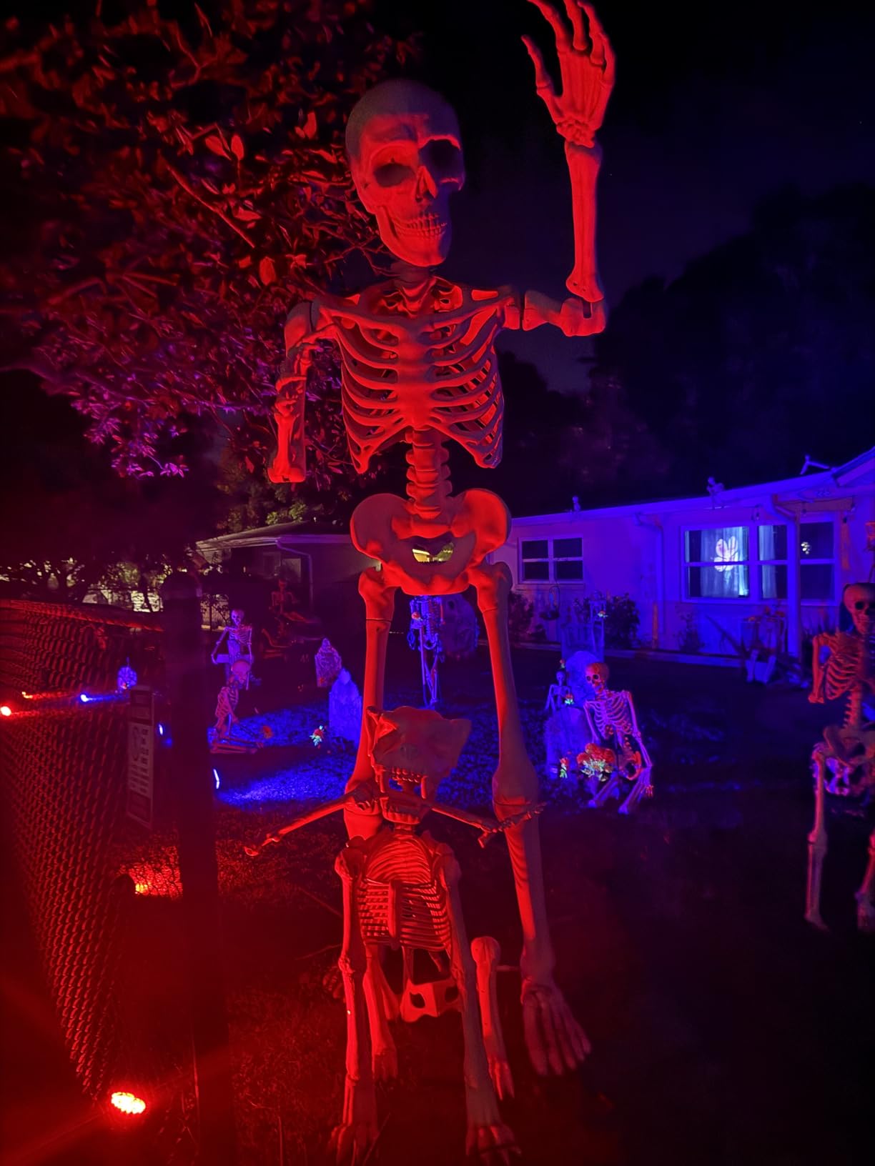 Strobe Lights Halloween, Telbum Colorful Strobe Light for Parties, Super-Bright 54 RGB LED Mini Strobe Lights with Remote Control Sound Activated, Plug-in Flash Light for Room DJ Stage Wedding 2Pack customer photo 1