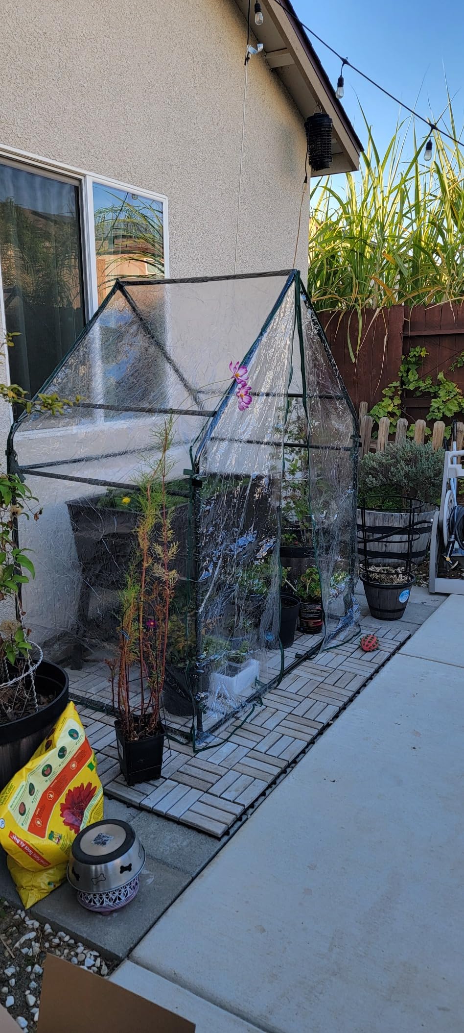 Gardzen Mini Greenhouse 36.2