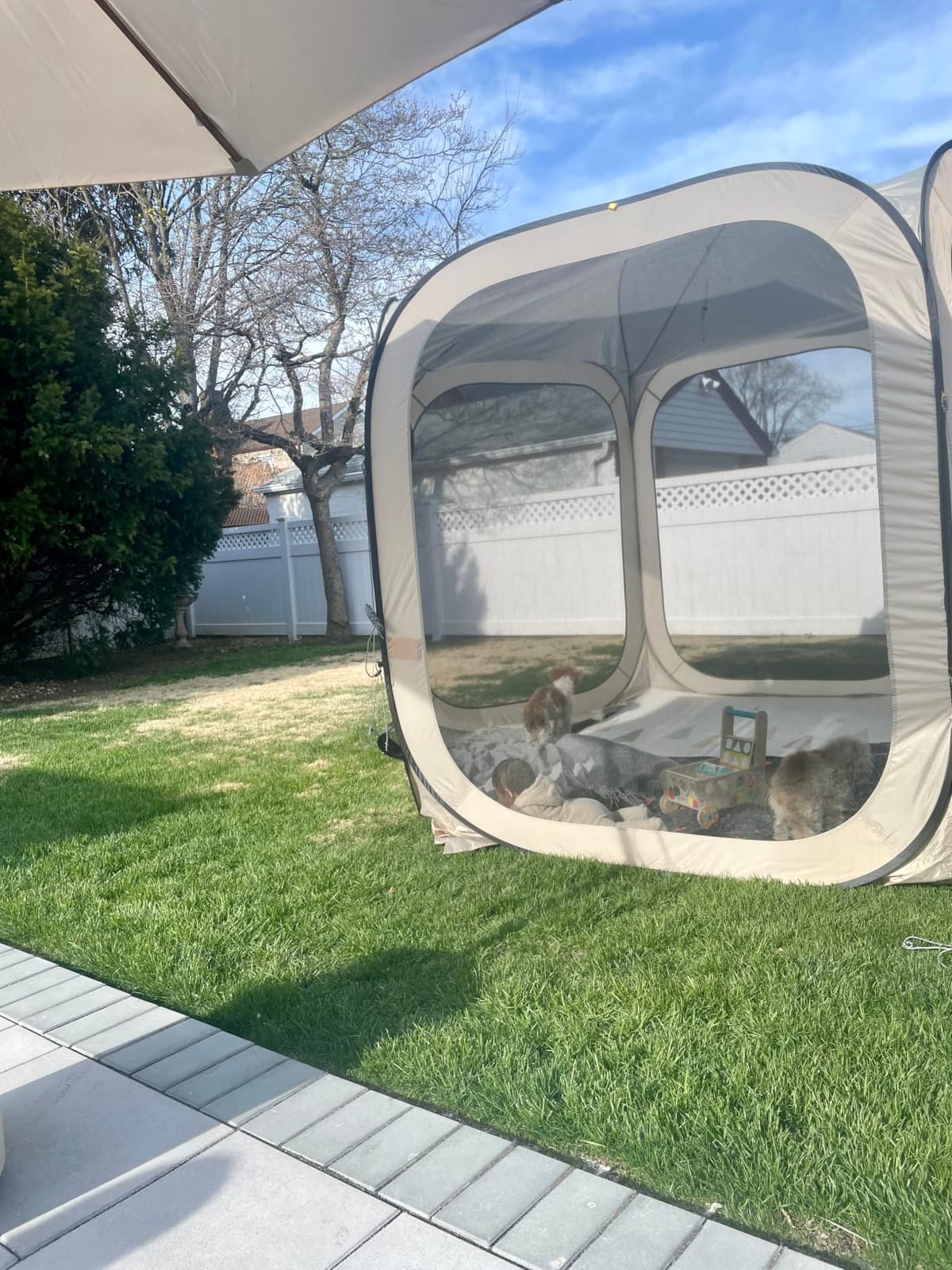 East Oak Screen House Tent Pop-Up, Portable Screen Room Canopy Instant Screen Tent 12 x 12 FT with Carry Bag for Patio, Backyard, Deck & Outdoor Activities, Beige customer photo 2