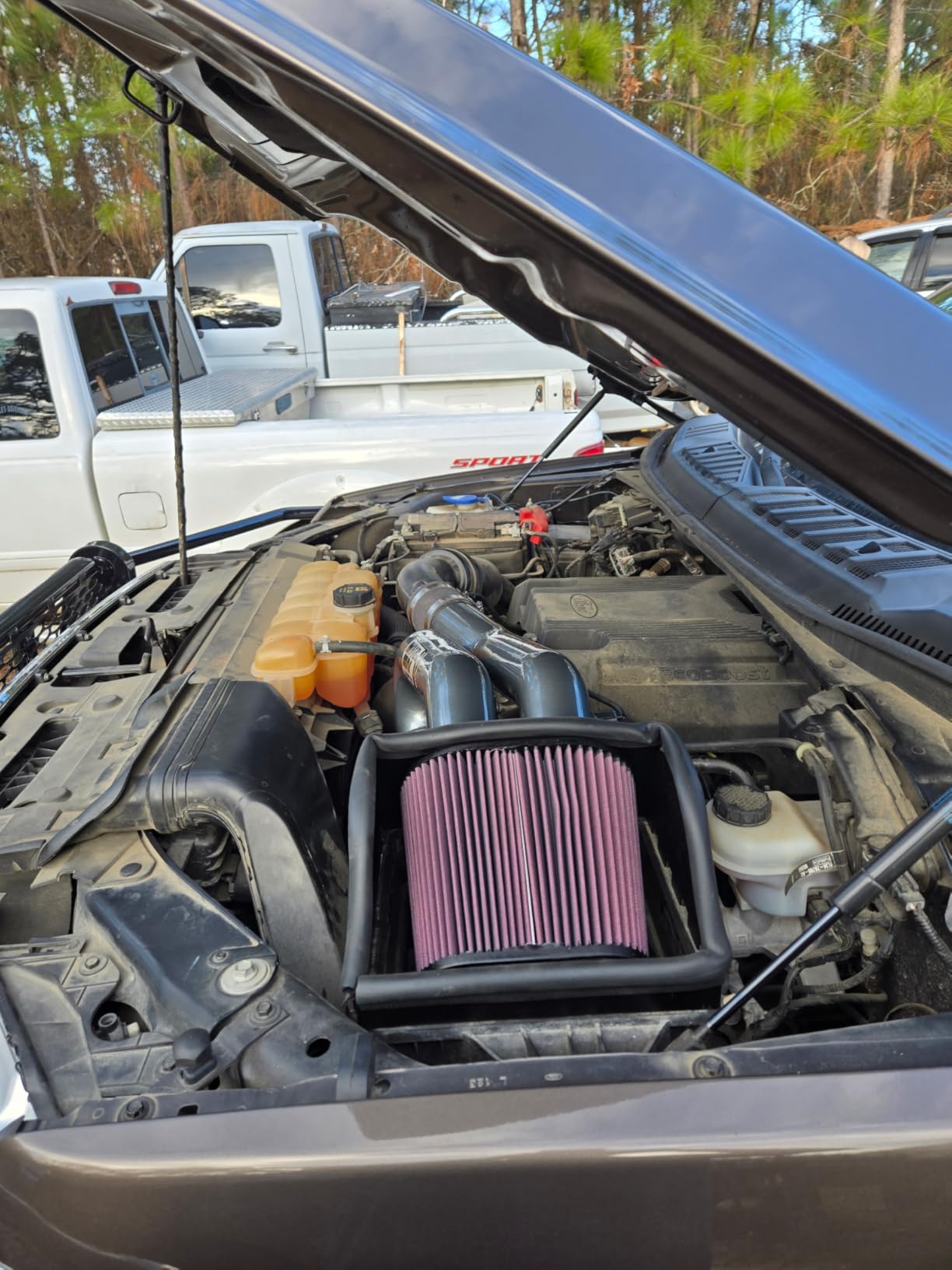 K&N Cold Air Intake System: High-Flow Air Filter, Increase Performance & Towing: Compatible with 2015-2026 FORD Expedition, F150, F150 Raptor, 77-2617KC customer photo 1