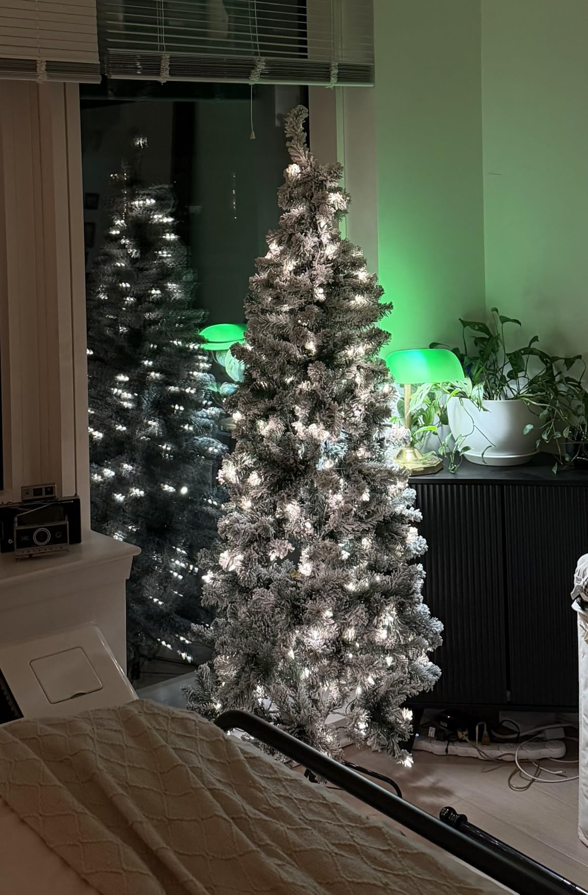 National Tree Company 6ft Pre-Lit Flocked Acacia Slim Christmas Tree | 250 Clear Lights, 512 Tips, Includes Stand, Artificial, Green customer photo 1