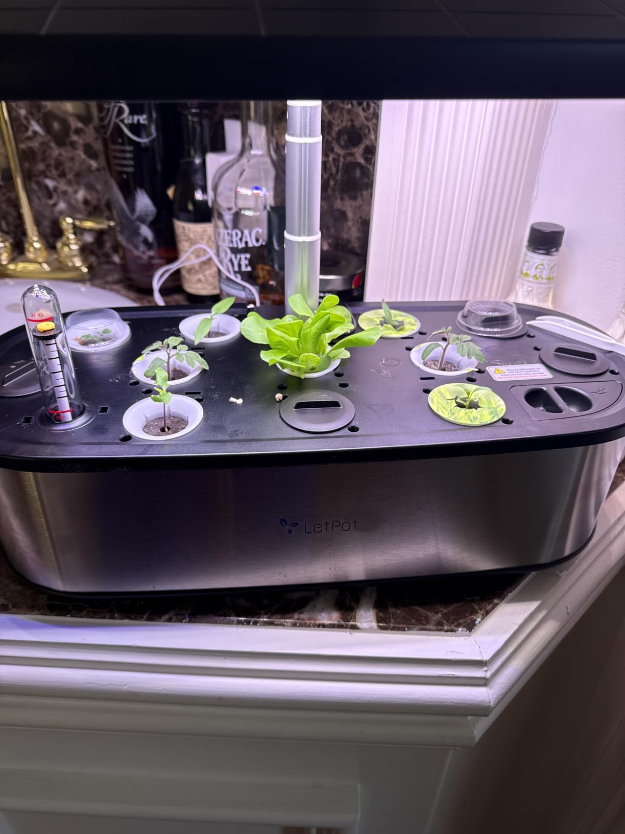 LETPOT LPH-SE Hydroponics Growing System, 12 Pods Smart Herb Garden Kit Indoor, APP & WiFi Controlled, with 24W Growing LED, 5.5L Water Tank, Pump System, Automatic Timer customer photo 1