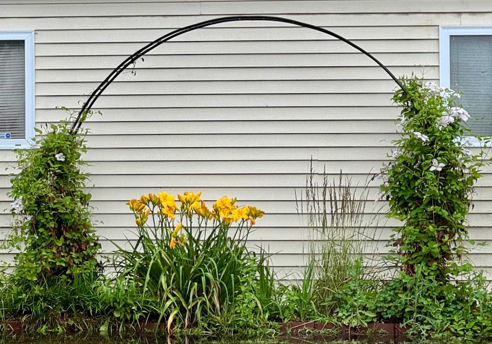 Queension Extra Large Garden Arch 7.2Ft Wide 9.2Ft High, Black | Wedding Arch for Ceremony, Outdoor Garden Trellis for Climbing Plant, Metal Balloon Arches Backdrop Stand with Prongs Base customer photo 2