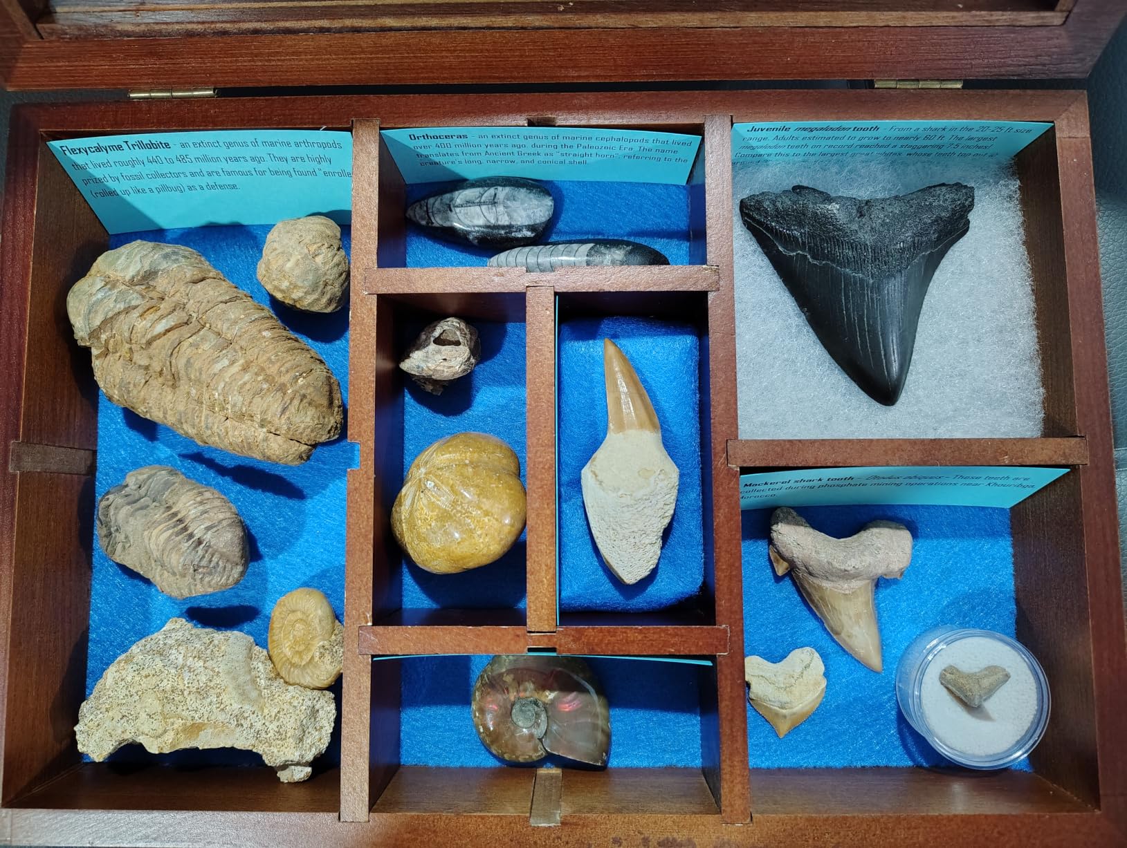 Adjustable Rock Collection Box, Wood Crystal Display Case for Gemstone | Rock Display Case with Shelves, Witchy Stone Organizer Storage, Gem Holder Box for Mineral Collectibles, Wiccan Gift, Black customer photo 2