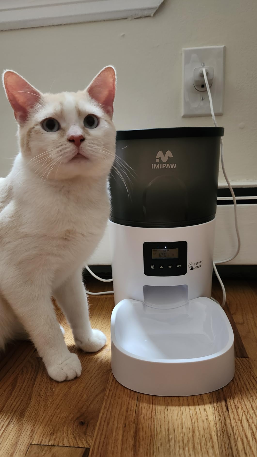 IMIPAW Automatic Cat Feeders, Timed Cat Dry Food Dispenser with Desiccant Bag, Dual Power Supply, Programmable Portion Size, 6 Meals, 20 Portions Per Day, Auto Pet Feeder for Cats and Small Dog, White customer photo 2