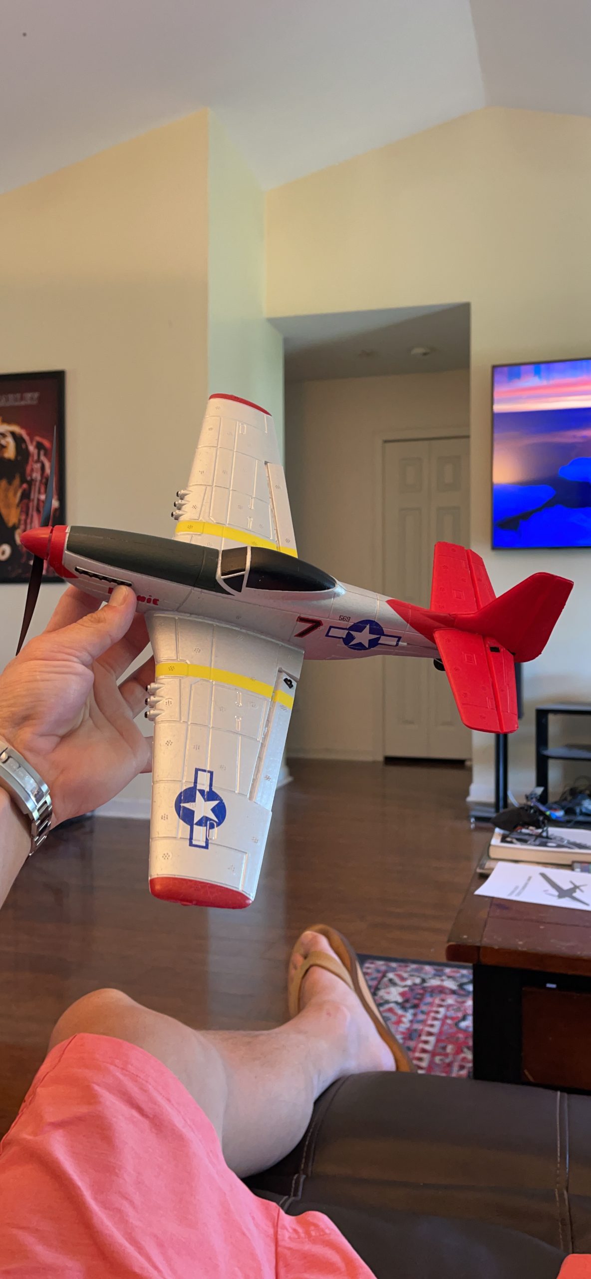 volantexrc RC Plane, 4CH Remote Control Airplane for Beginners & Adults | P51D Mustang Fighter RTF, 6-Axis Gyro, 3 Modes & Aerobatics, Easy to Fly, 2.4GHz Radio Controlled Aircraft, Red customer photo 2
