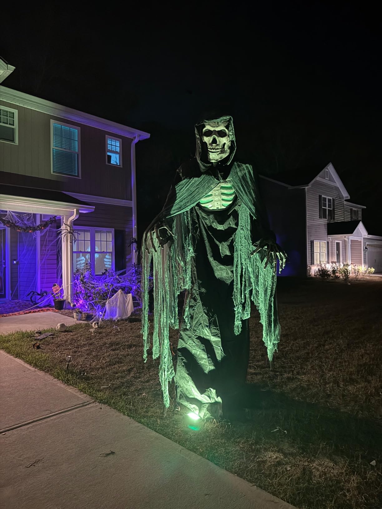 Haunted Hill Farm 8.0-Ft Towering Skeleton customer photo 2