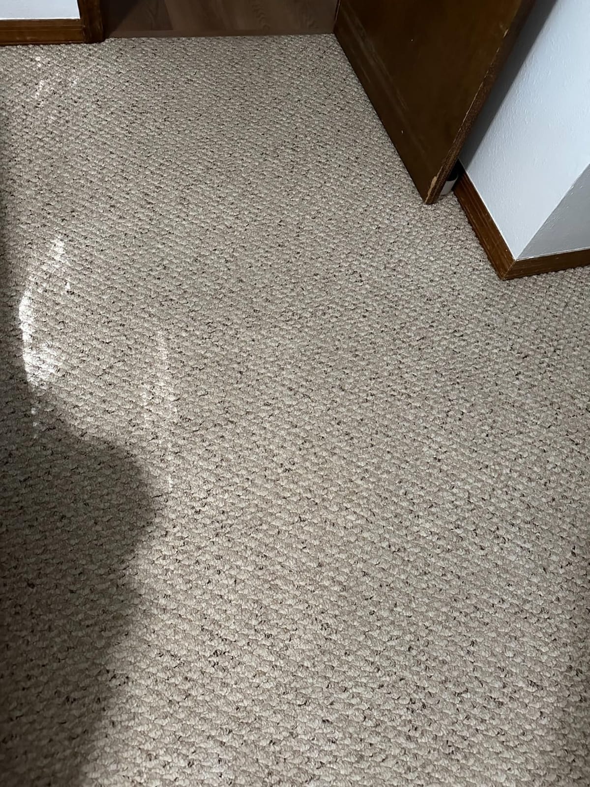 Shark CarpetXpert StainStriker EX201 Upright Carpet Cleaner, Pet Stain & Odor Remover, Deep Clean, Lift-Away Technology, 2X Suction Power customer photo 1