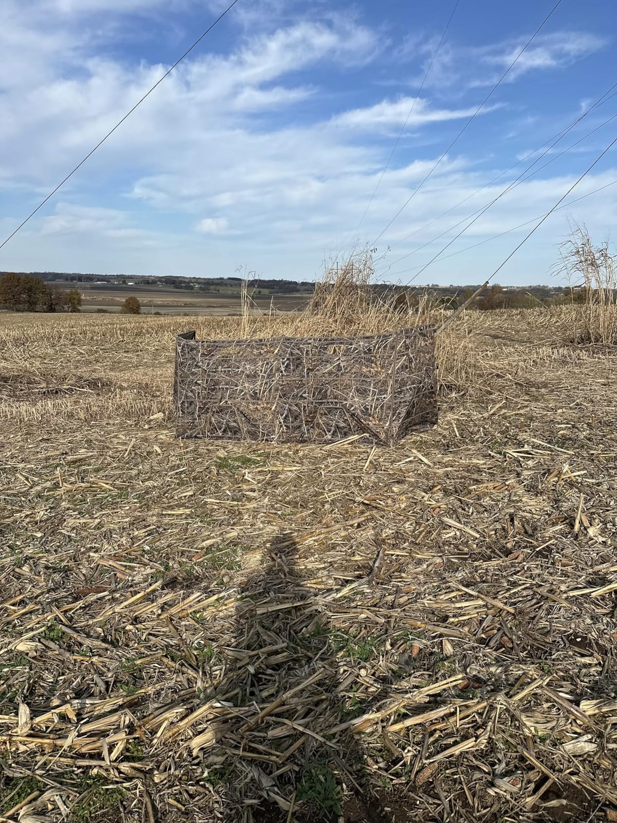 TIDEWE Duck Hunting Blind, Portable Duck Panel Blind, Next Evos Camo | 3-4 Person, Waterfowl Hunting, Connectable Panels, Brush Loops, Silent Dog Door, 13 lb Lightweight, Carry Bag customer photo 1