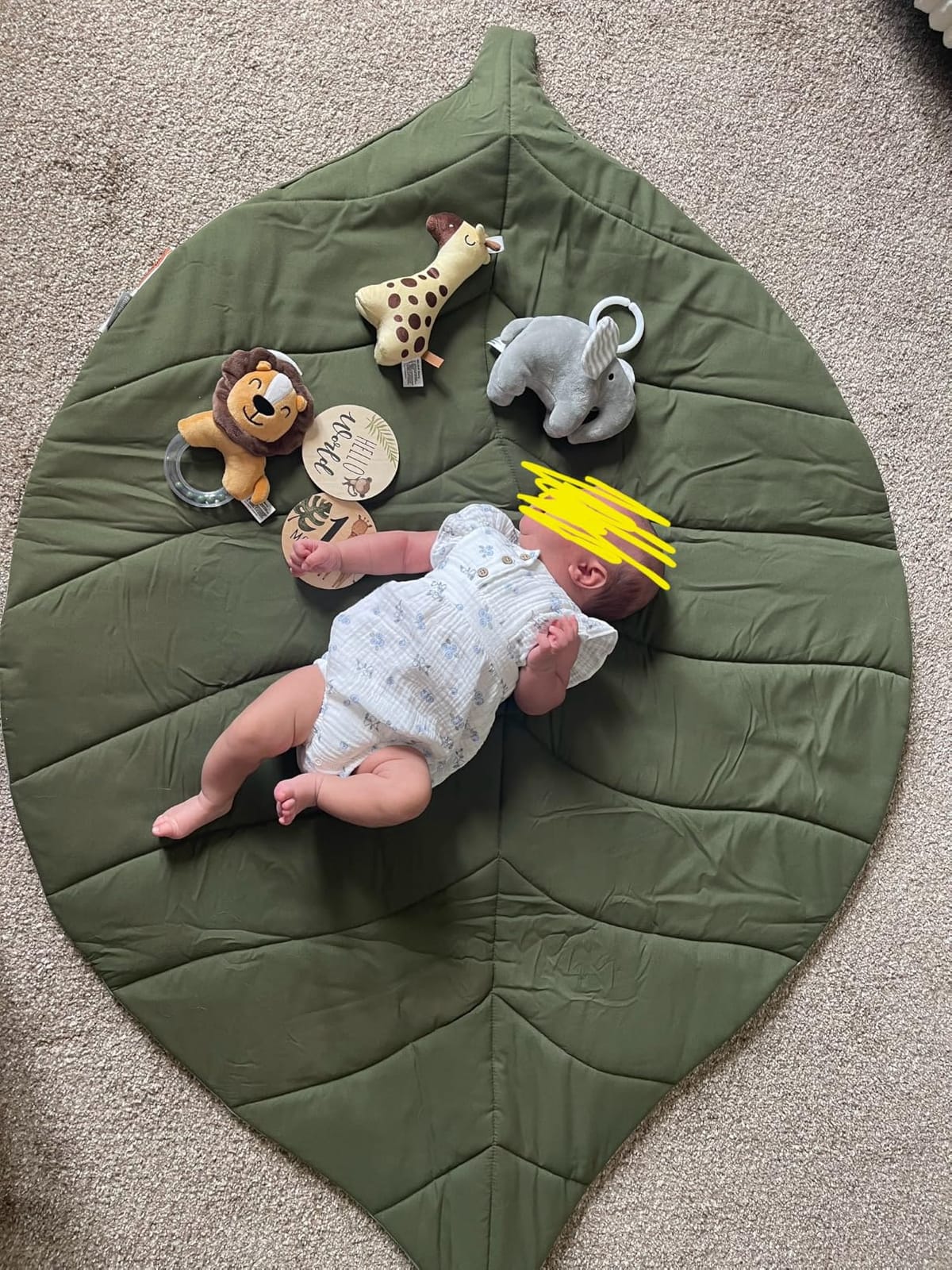 Blissful Diary Baby Play Gym & Activity Mat, Oversize Leaf Shaped Baby Play Mat w 6 Detachable Toys customer photo 2