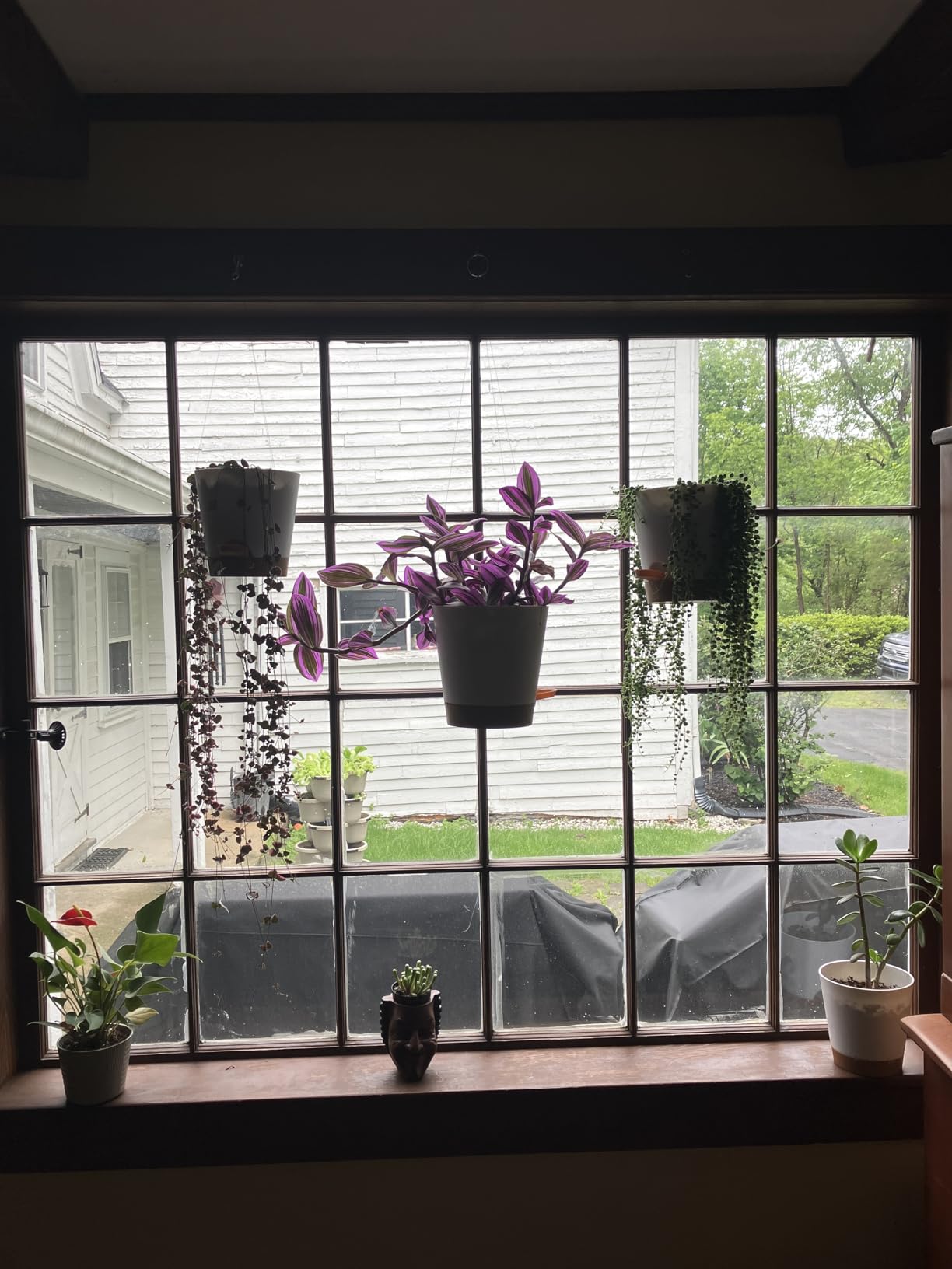 YNNICO Indoor Self Watering Planters with Drainage Holes and Saucers, 8, 7, 6.5, 6, 5.5, 5 Inches, Black, 6 Pots customer photo 2