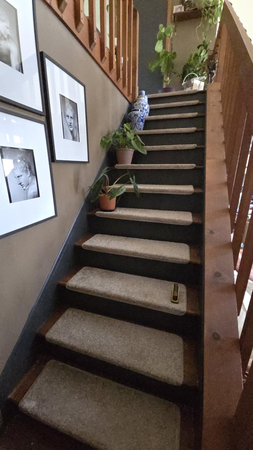 PURE ERA Bullnose Carpet Stair Treads Tape Free Non-Slip Indoor Stair Protectors Pet Friendly Stair Treads for Wooden Steps 9.5