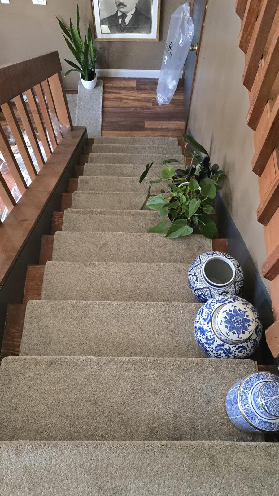 PURE ERA Bullnose Carpet Stair Treads Tape Free Non-Slip Indoor Stair Protectors Pet Friendly Stair Treads for Wooden Steps 9.5
