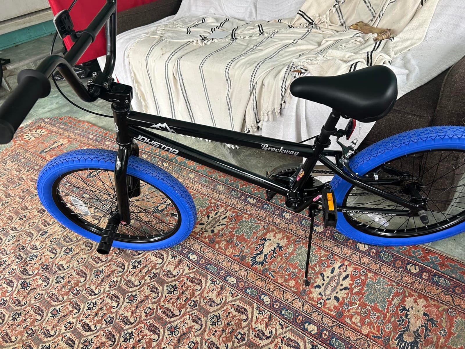 JOYSTAR Brockway Freestyle 20 inch 24 inch Kids BMX Bikes for 6-12 Years, Kids Bicycle for Boys Girls and Beginner-Level Riders, 2 Pegs, Multiple Colors customer photo 2