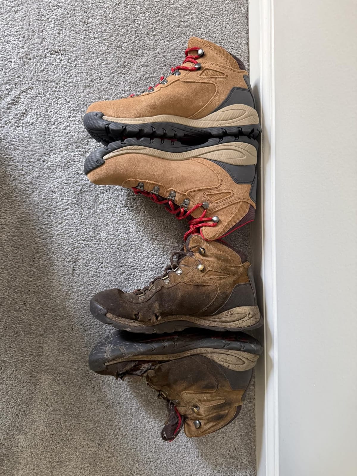 Columbia womens Newton Ridge Plus Waterproof Amped | Hiking Boots customer photo 2