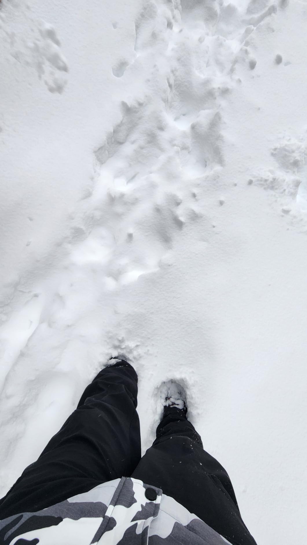 Men's Bugaboot III Snow Boot customer photo 2