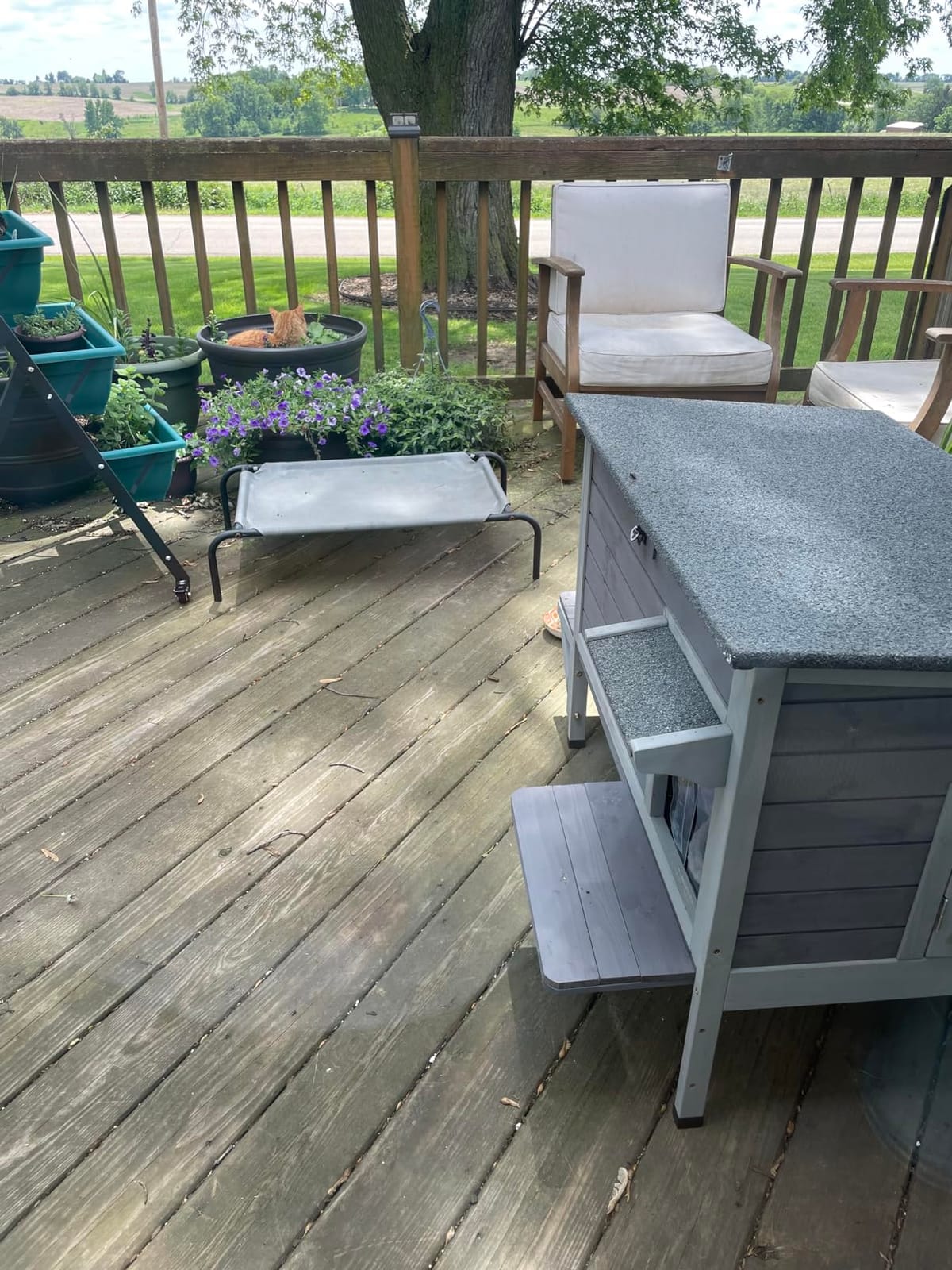 GUTINNEEN Outdoor Cat House Insulated for Winter Weatherproof Feral Cat Shelter | 8-Layer Protection Heating Pad&Liner, Weather Resistant Asphalt Roof, Dual Entry Escape Doors, Natural Wood customer photo 1