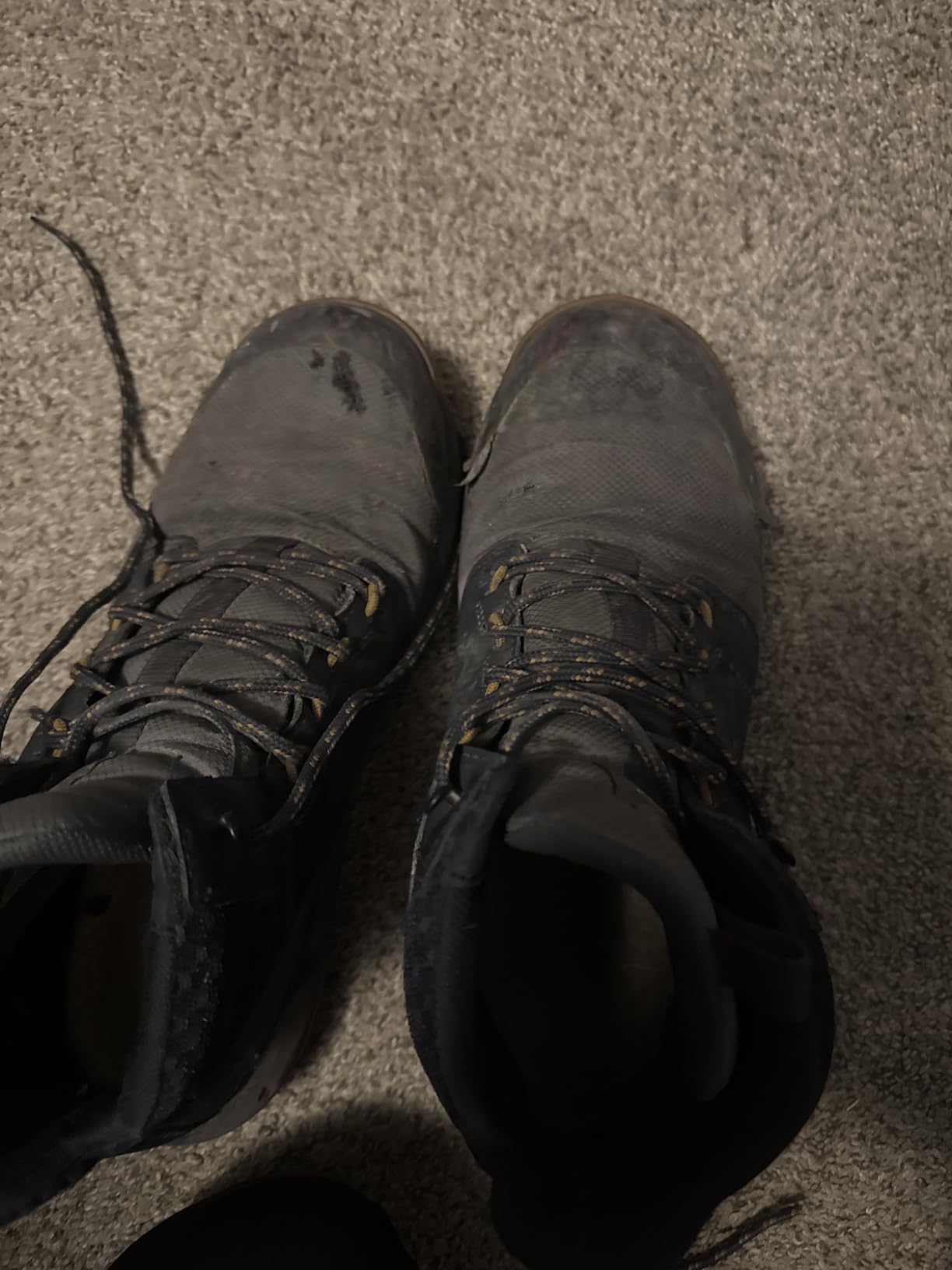 Timberland PRO Morphix 6
