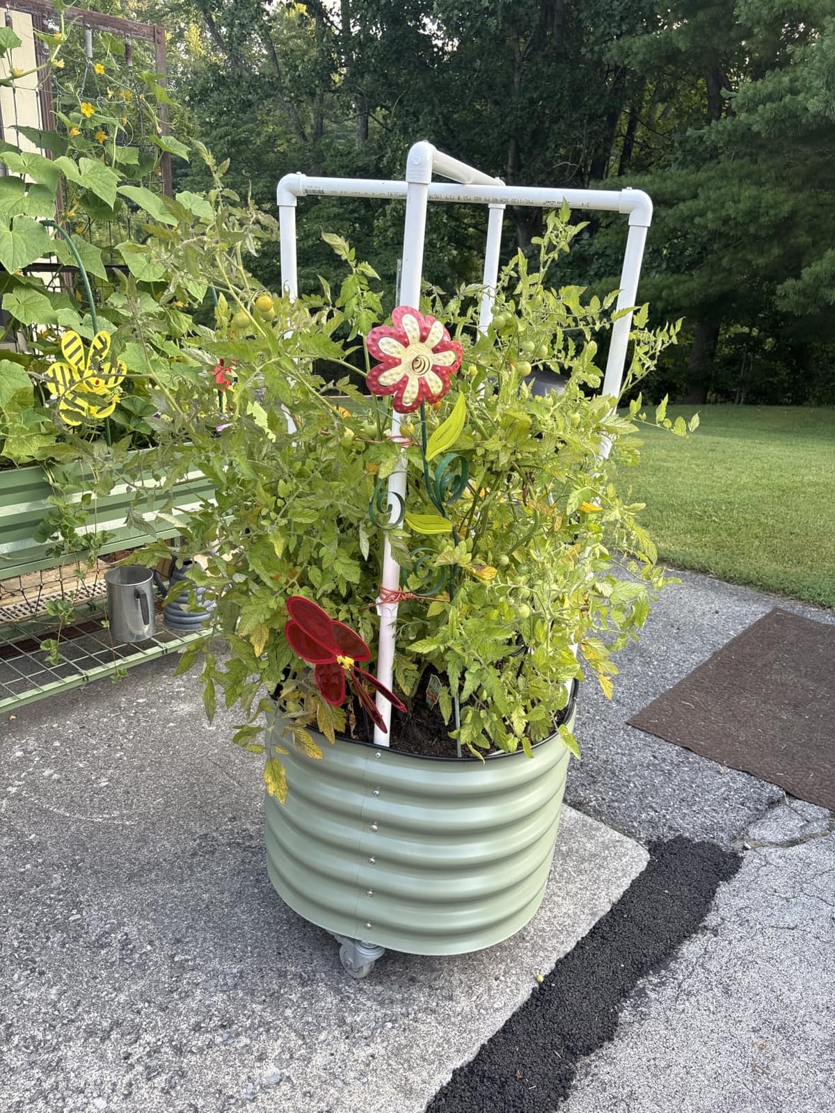 Rolling Citrus Tree Planter Gen 3, Self-Watering 24