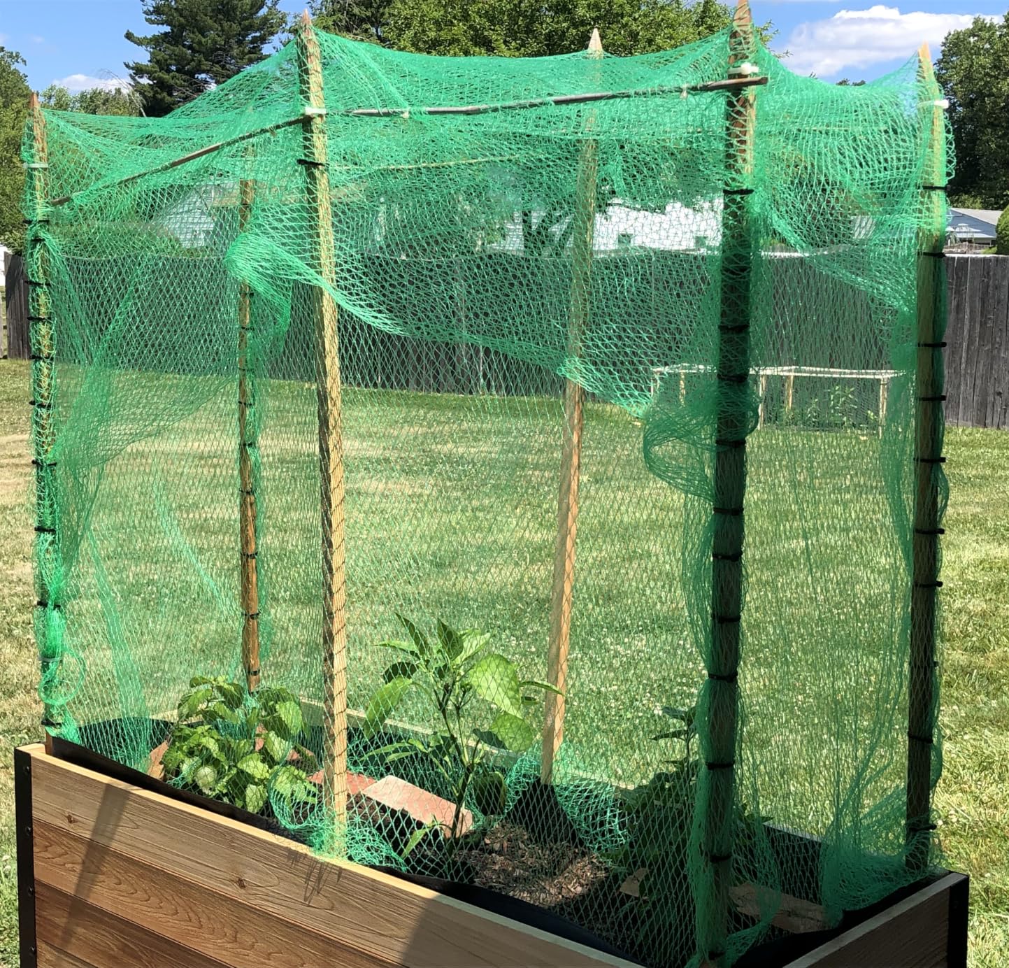 AlpineReach Garden Netting 7.5 x 100 ft Heavy Duty Bird Net, Deer, Plant Protection Extra Strong Woven Mesh, Reusable Kit with Zip Ties, Animal Fencing for Fruits Trees, Black customer photo 1