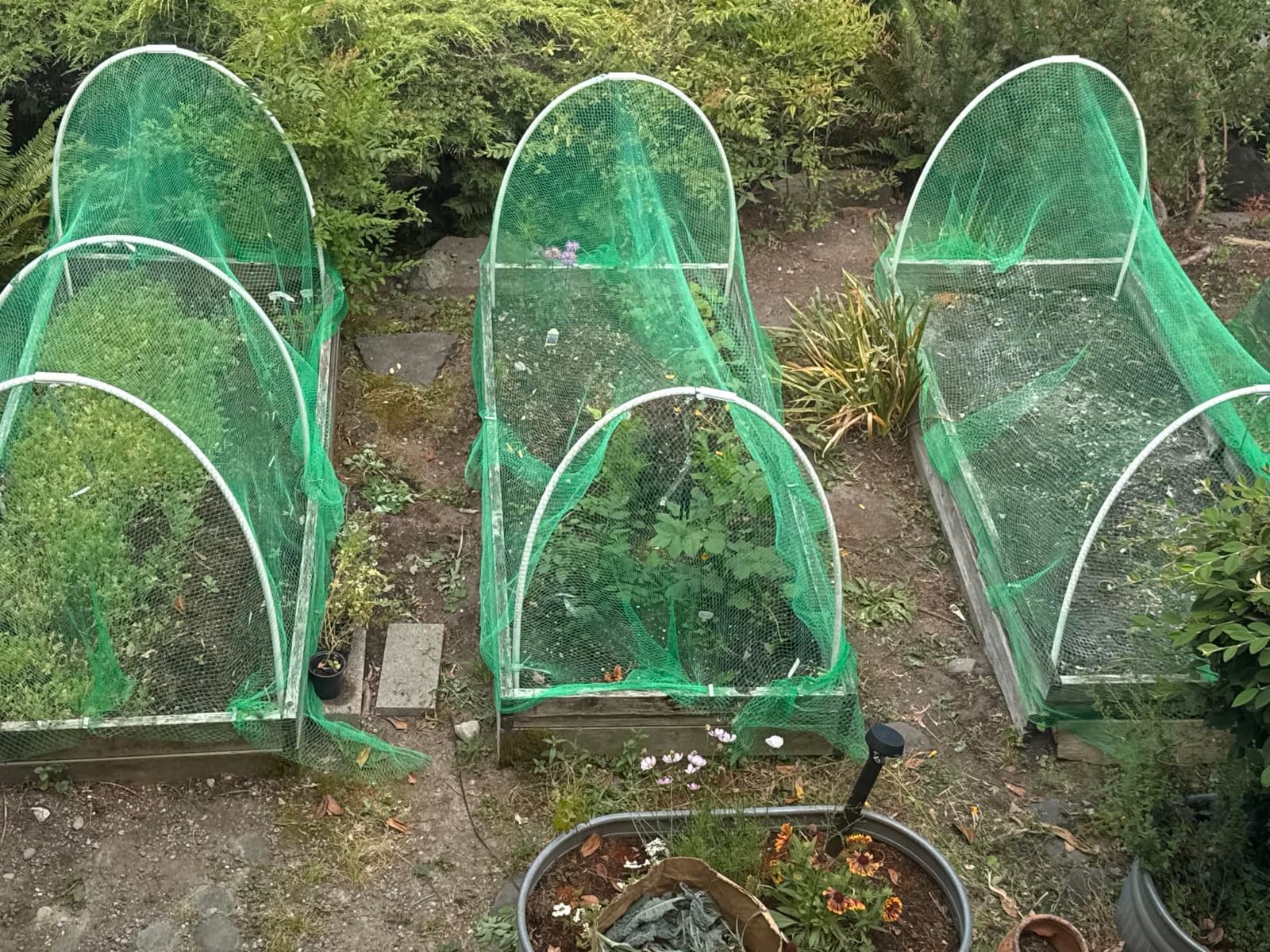 AlpineReach Garden Netting 7.5 x 100 ft Heavy Duty Bird Net, Deer, Plant Protection Extra Strong Woven Mesh, Reusable Kit with Zip Ties, Animal Fencing for Fruits Trees, Black customer photo 2
